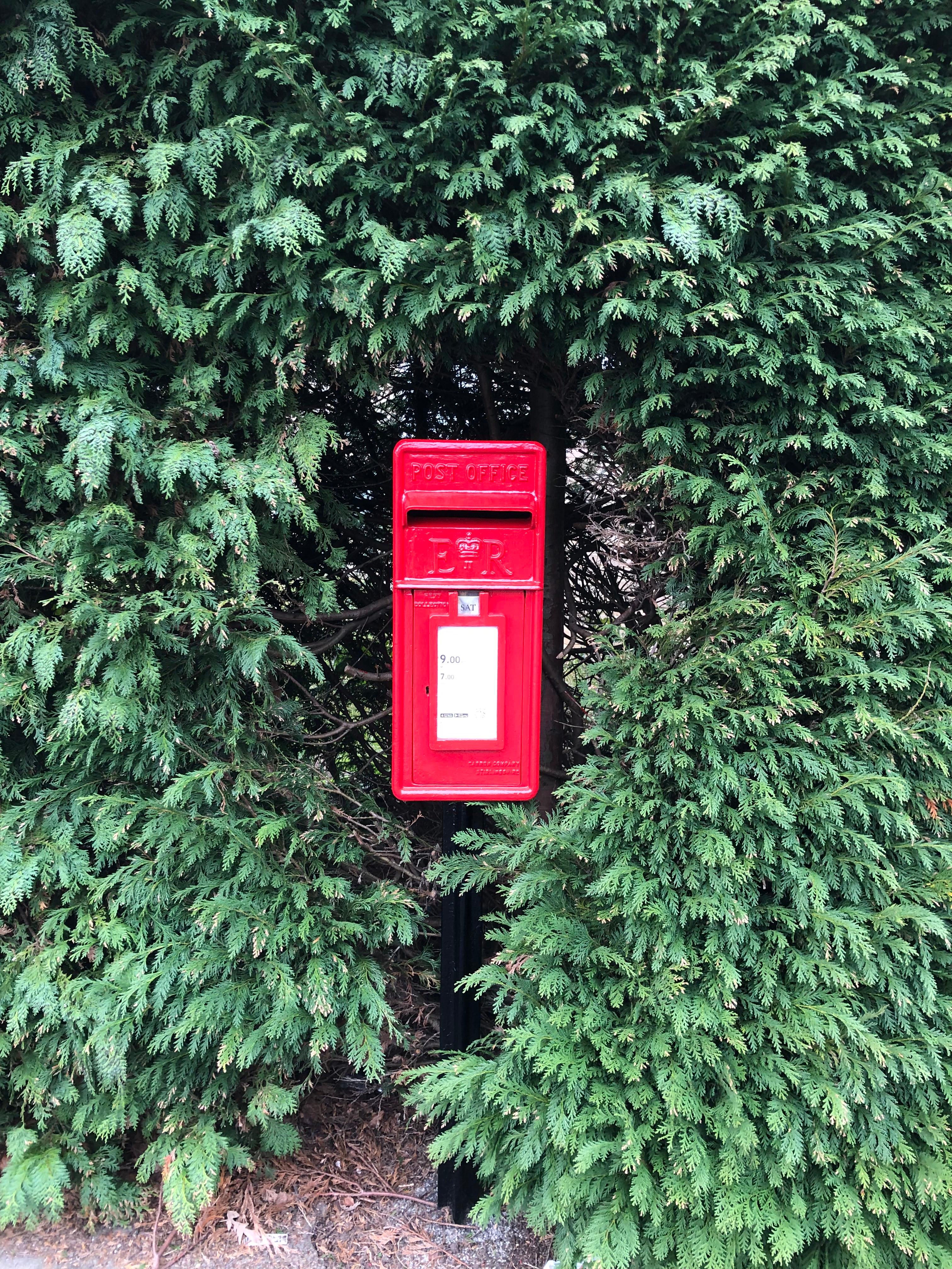 Lowry Gardens, Pleasant View