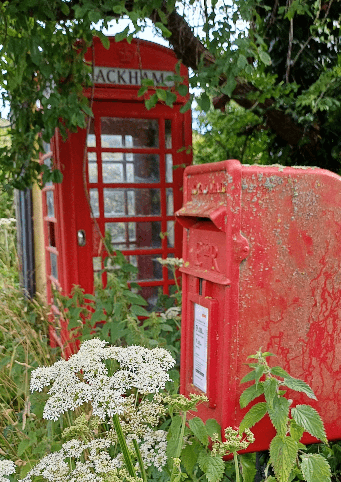 Rackham Street, Rackham