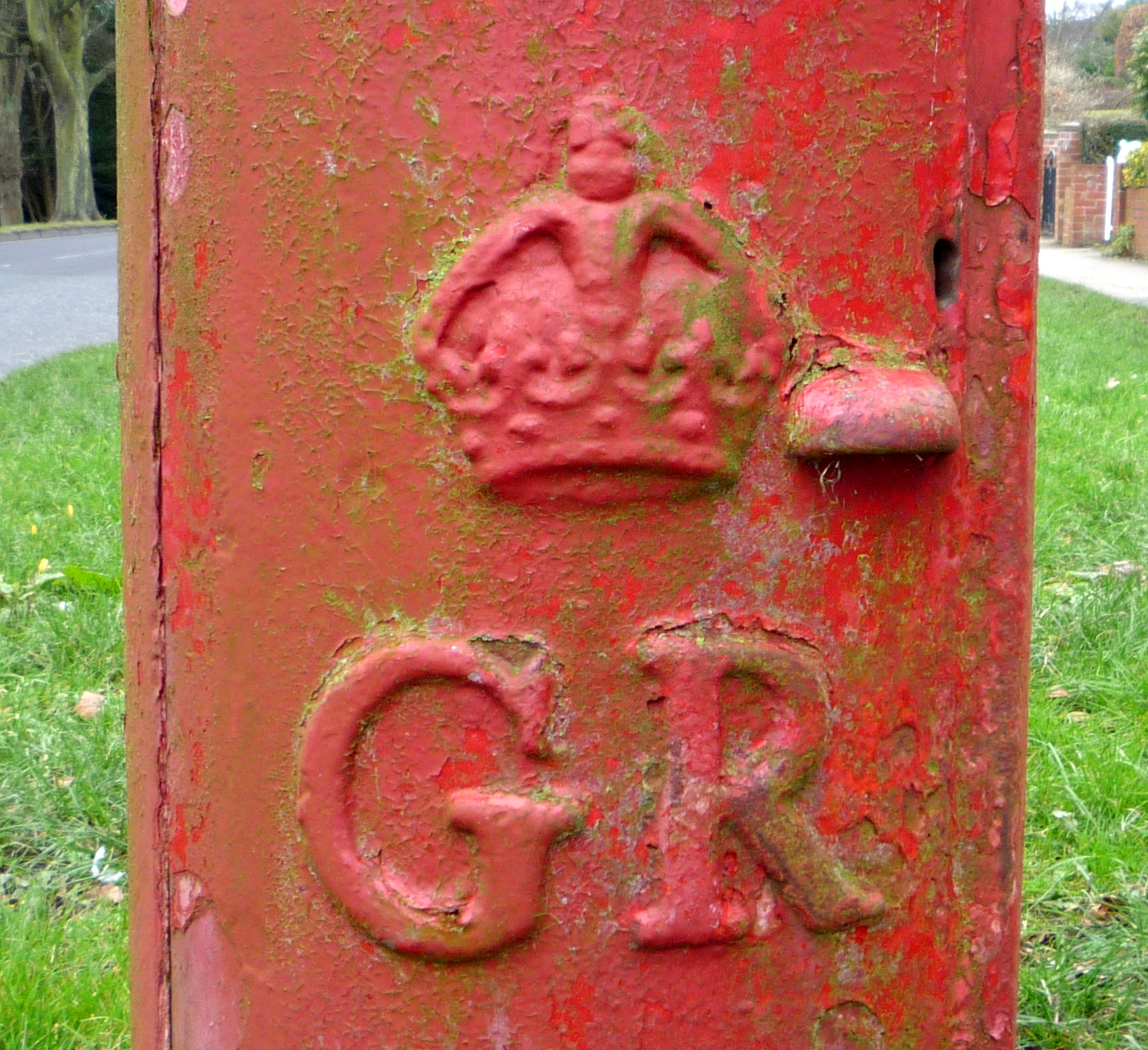GR cypher close-up, Woodland Ravine, Scarborough