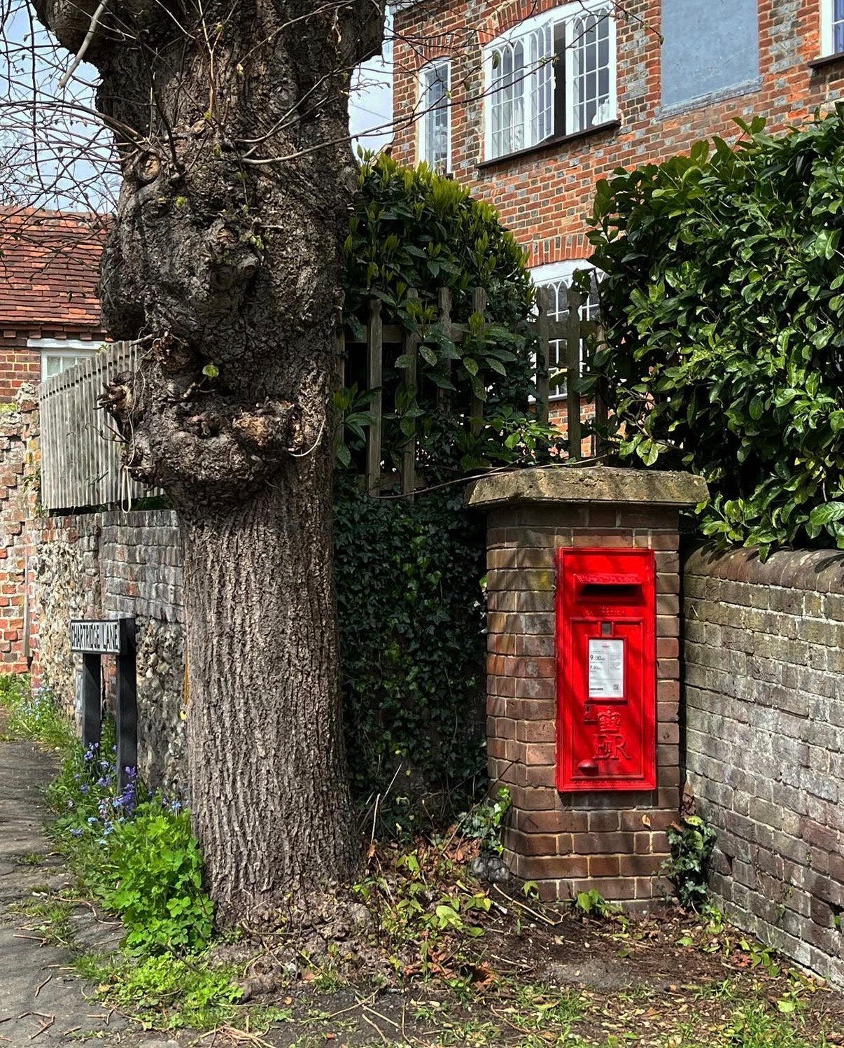 Park Road, Chesham, Queen Elizabeth II