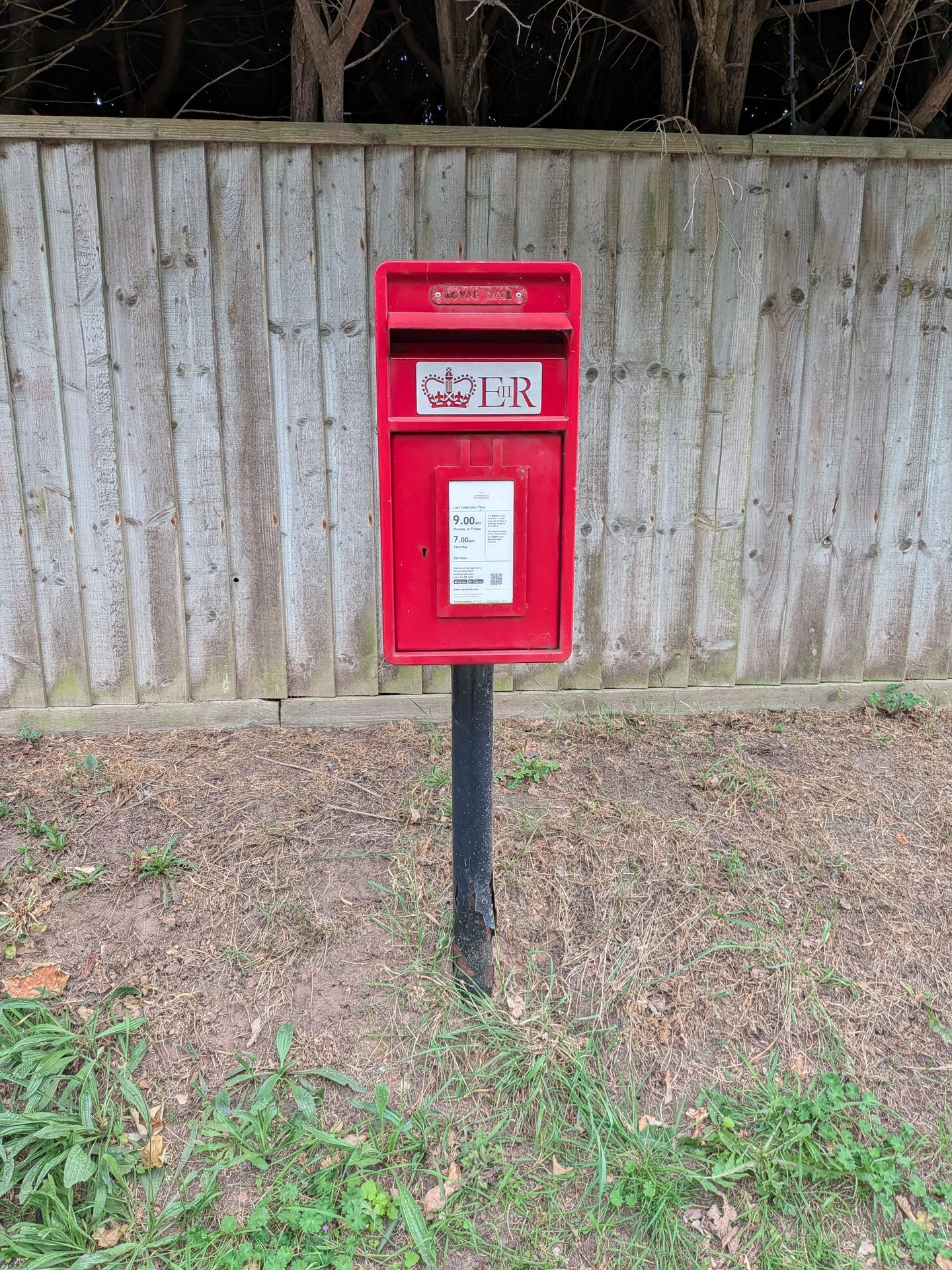Upper Stoneborough Lane, Budleigh Salterton, Queen Elizabeth II