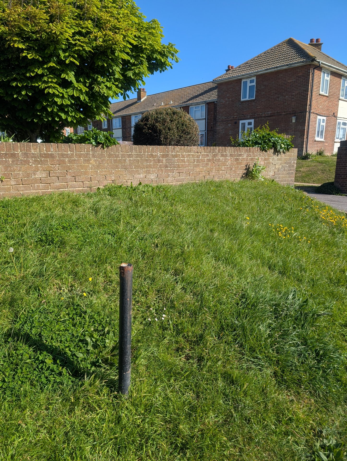 Brighton Road, Lancing photo 3