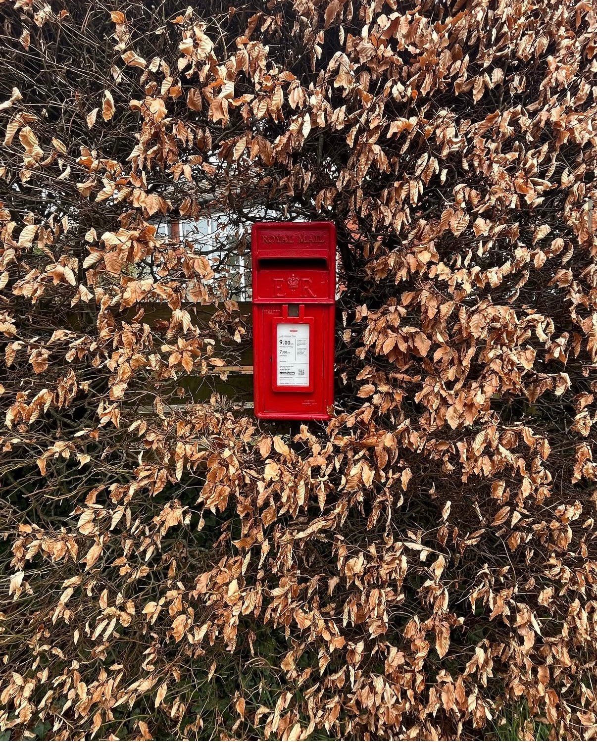 Brindle Lane, Penn, Queen Elizabeth II