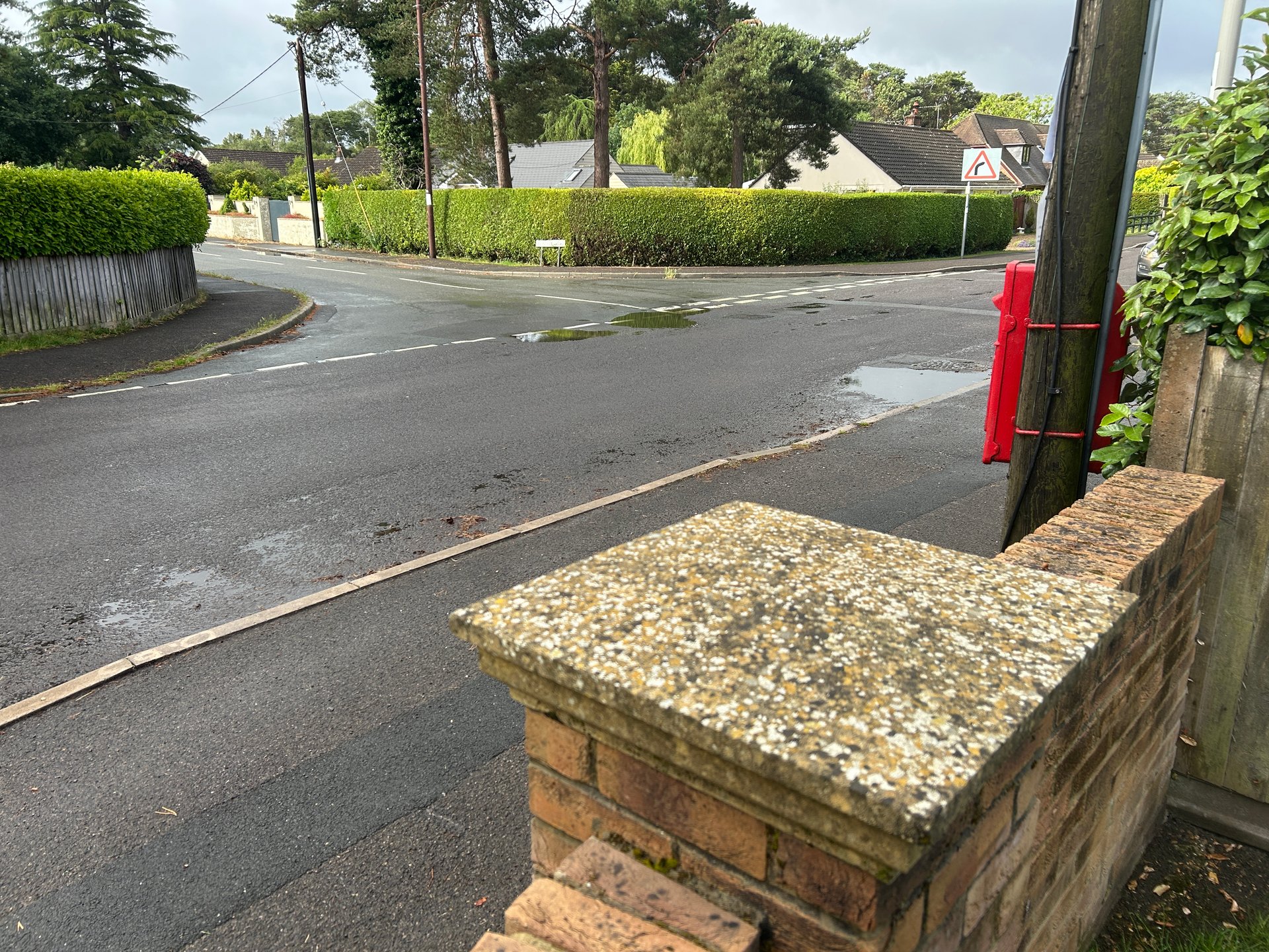 Lions Lane, Ashley Heath photo 2