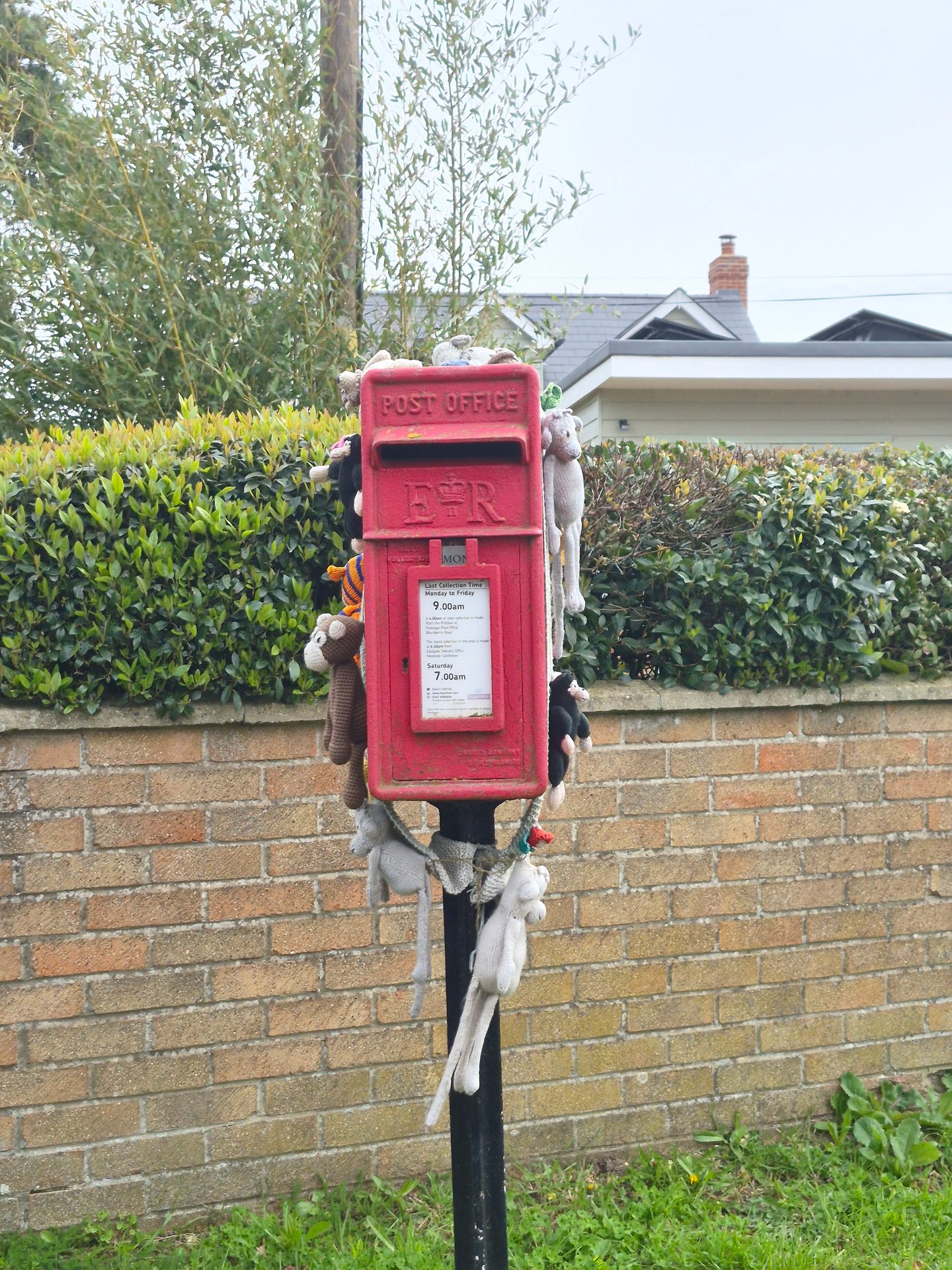 Colchester Zoological Society, Maldon Road, Colchester photo 2