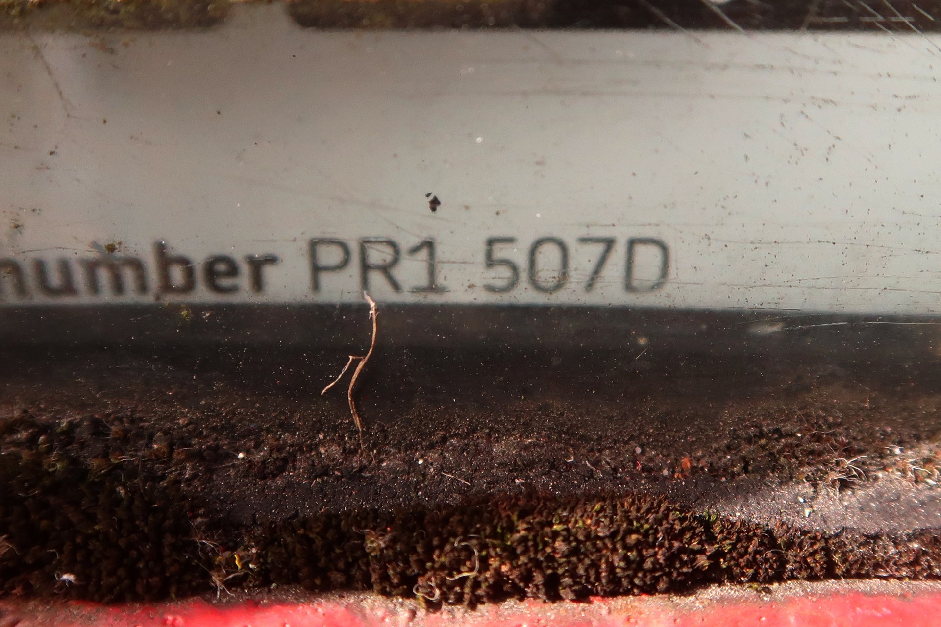 Winckley Square, Preston photo 2