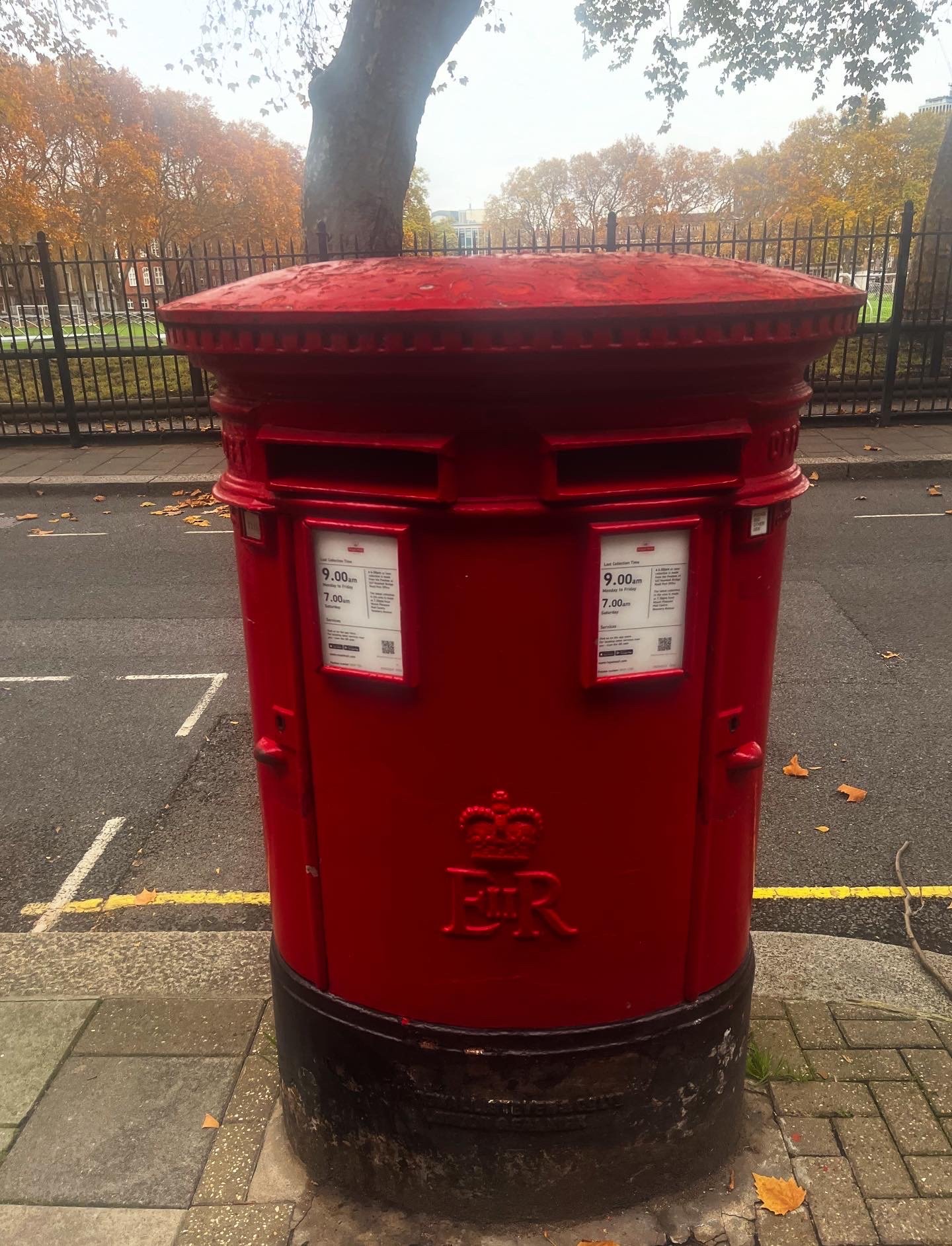 Vincent Square photo 7