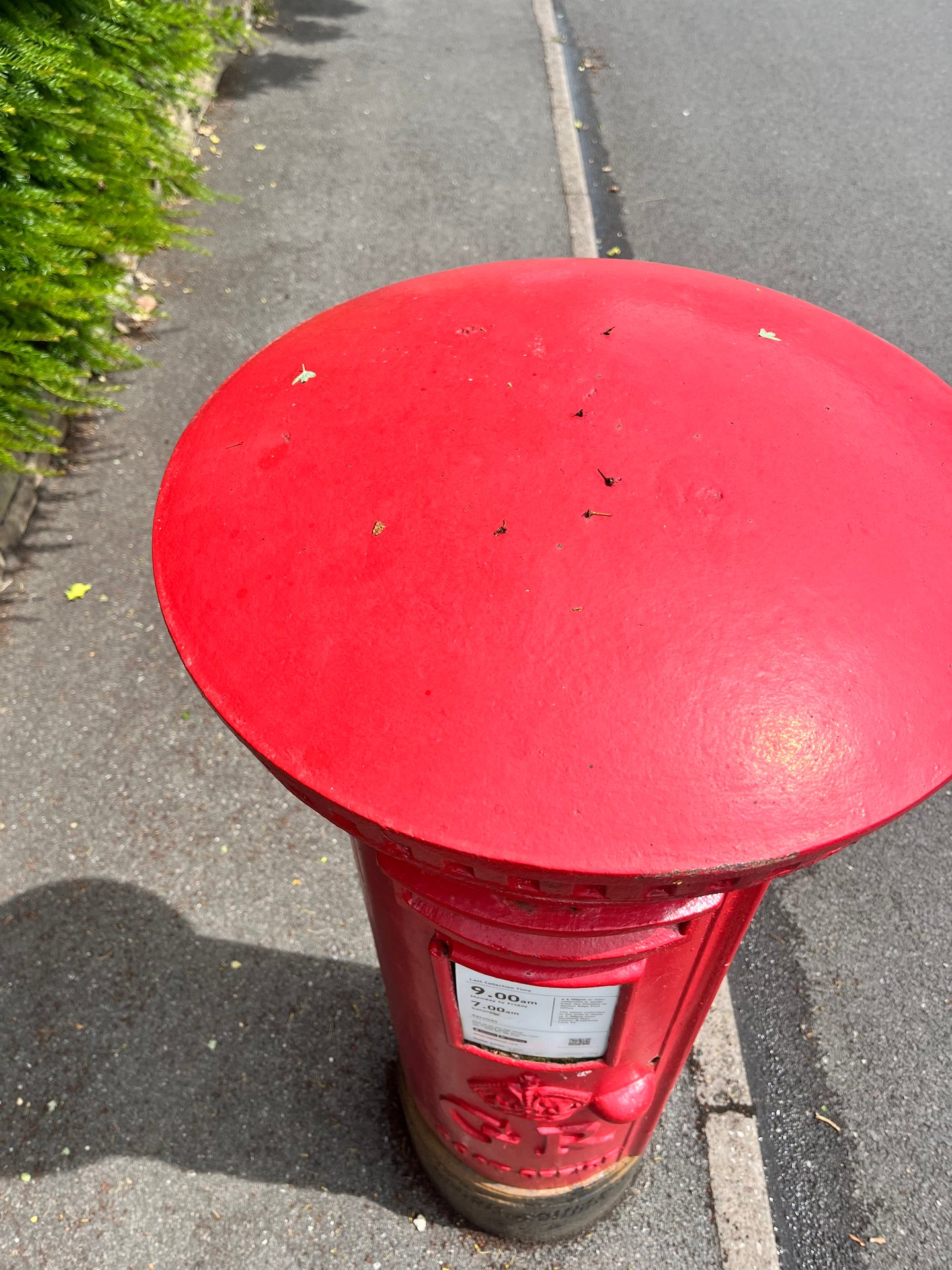 Oakdale Road, Sheffield photo 5