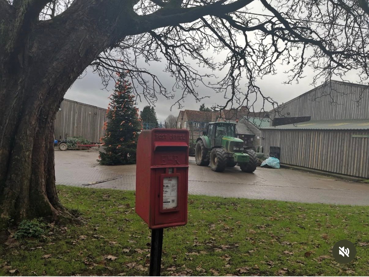 Patemore Lane, Cookley Green, Queen Elizabeth II