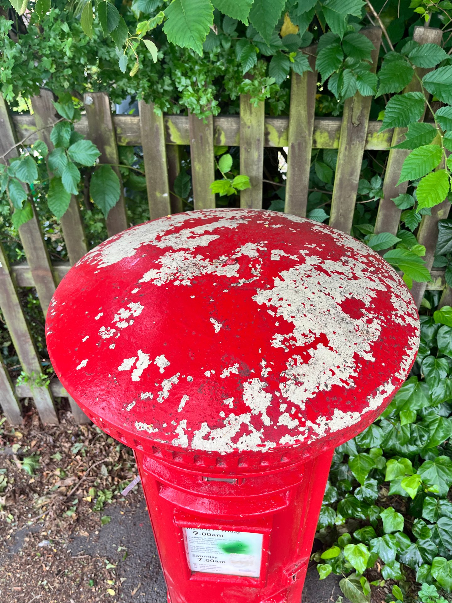Anns Road, Sheffield photo 4
