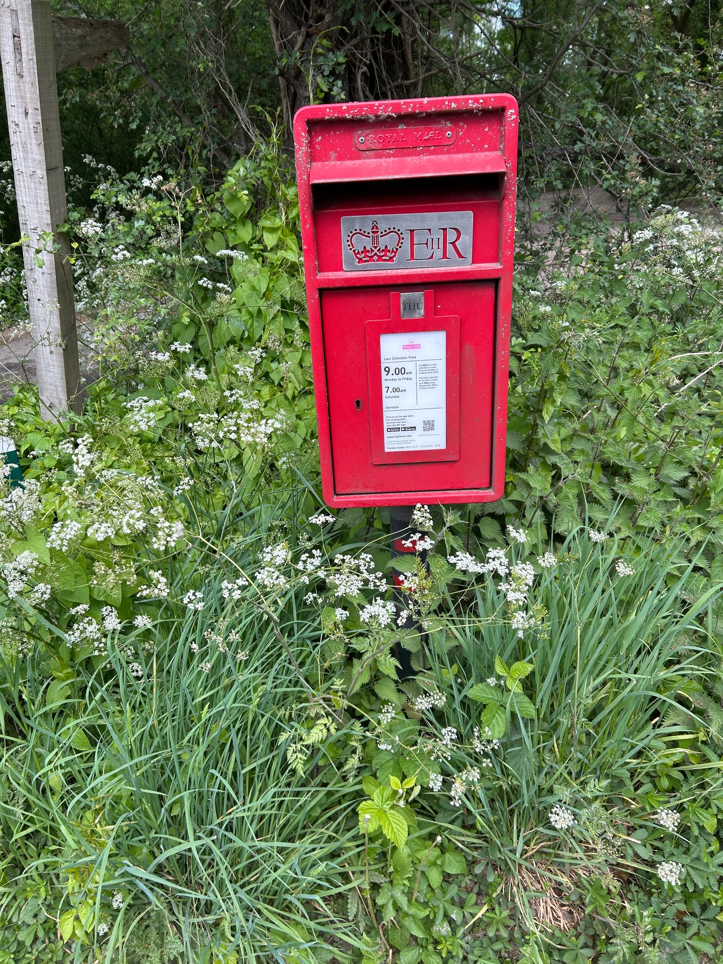 Salisbury Road, Test Valley photo 2