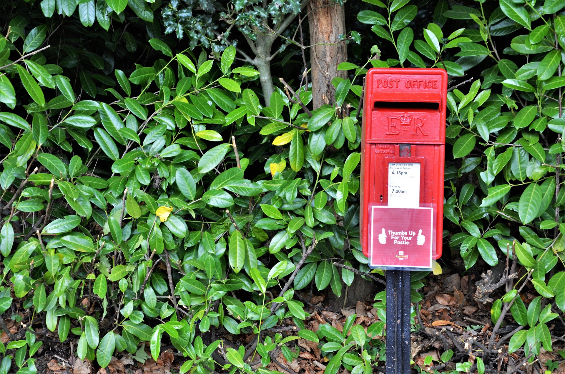 Station Road, Winchfield, Queen Elizabeth II