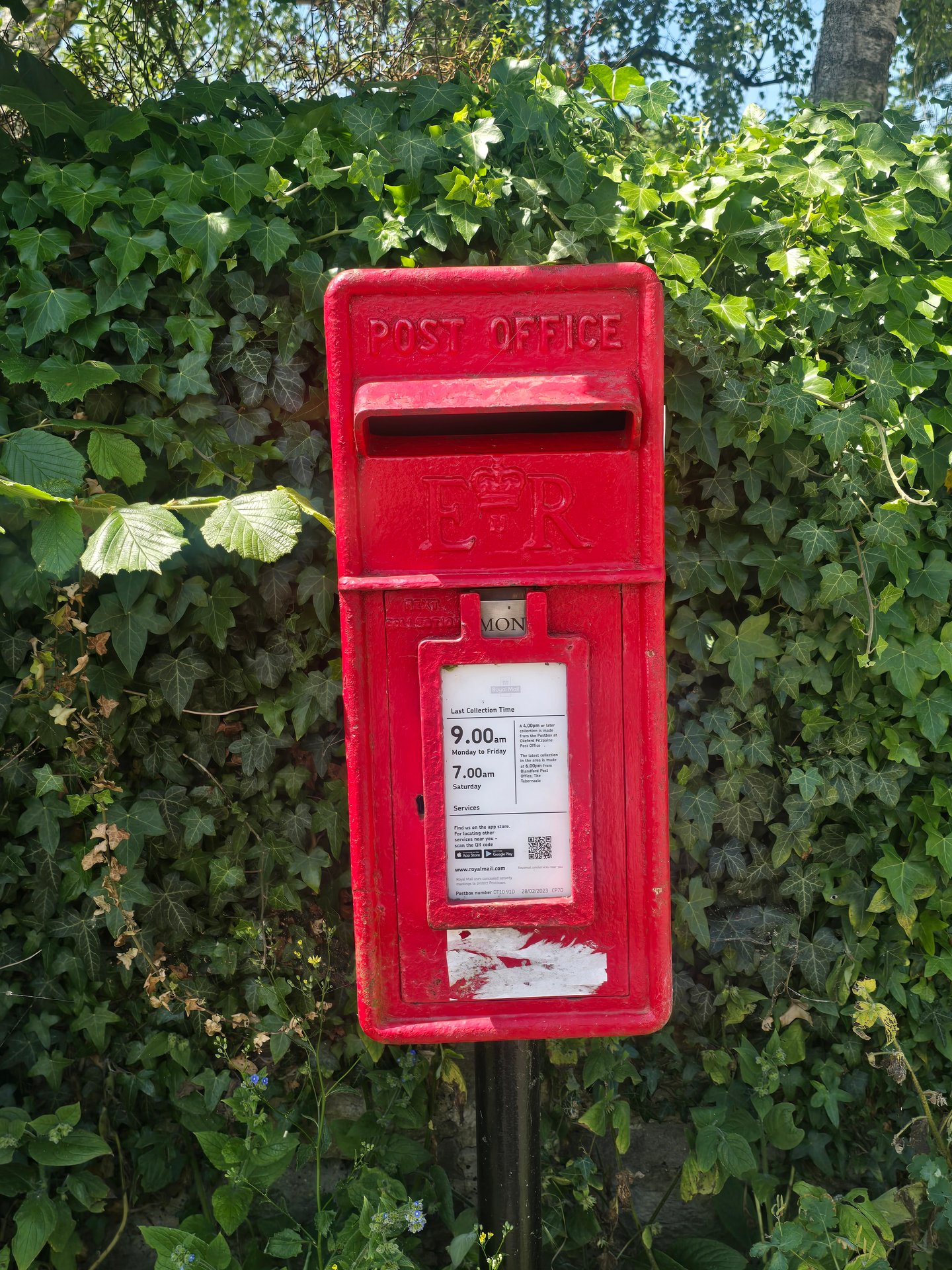 Postbox: Drum Lane, Hazelbury Bryan, Hazelbury Bryan, Dorset