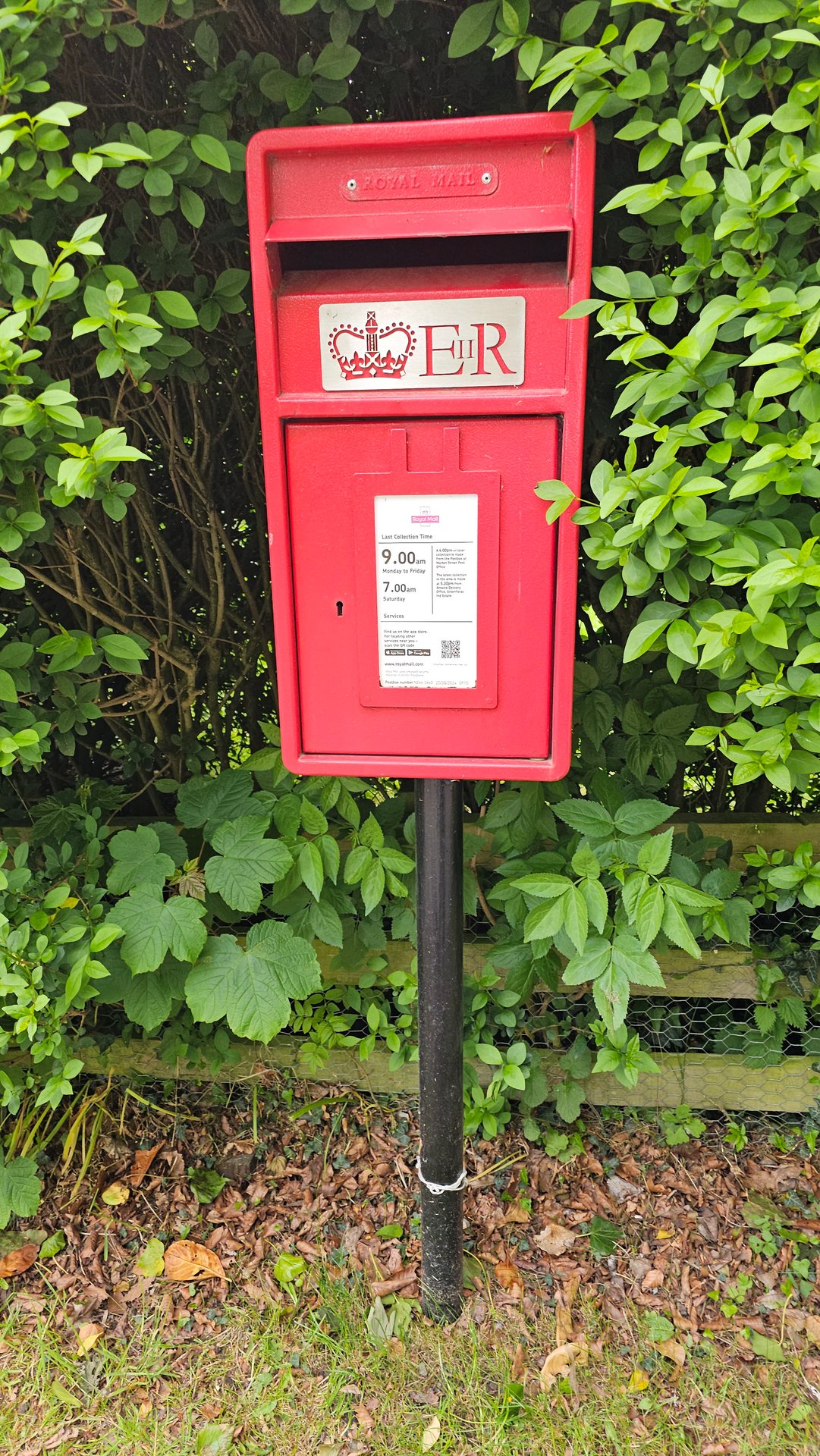 Lemmington Bank, Northumberland, Queen Elizabeth II