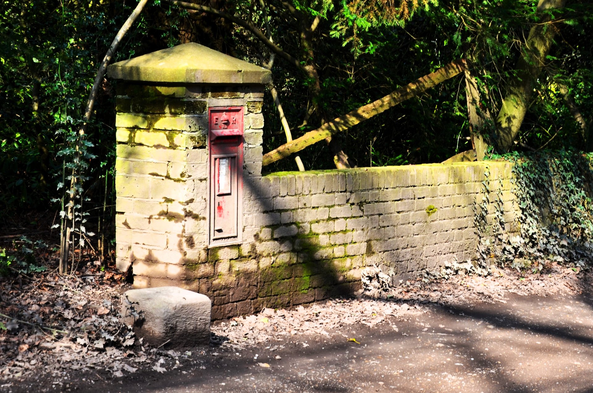 Mill Lane, Pirbright photo 2