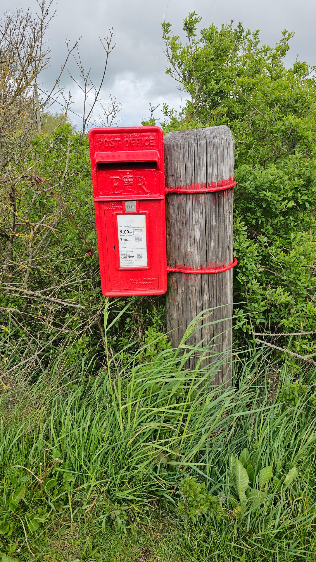 Lemmington Bank, Whittingham, Queen Elizabeth II
