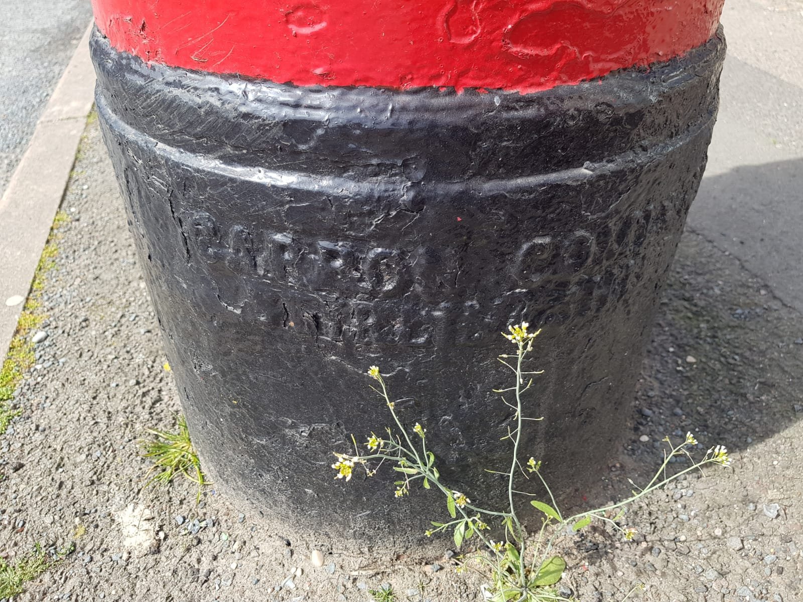 Broadway East, Northampton photo 3