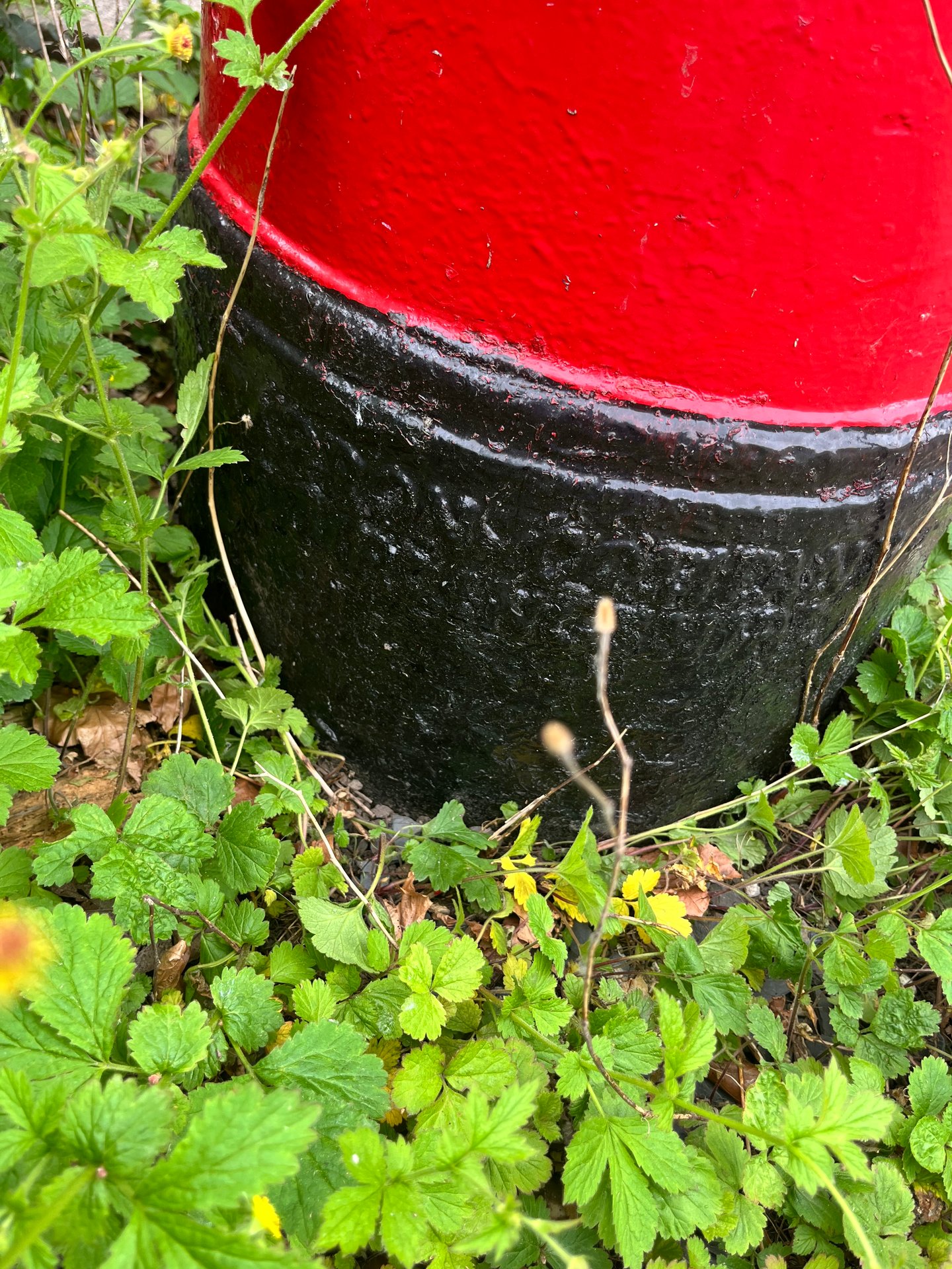 Worrall Road, Worrall photo 5