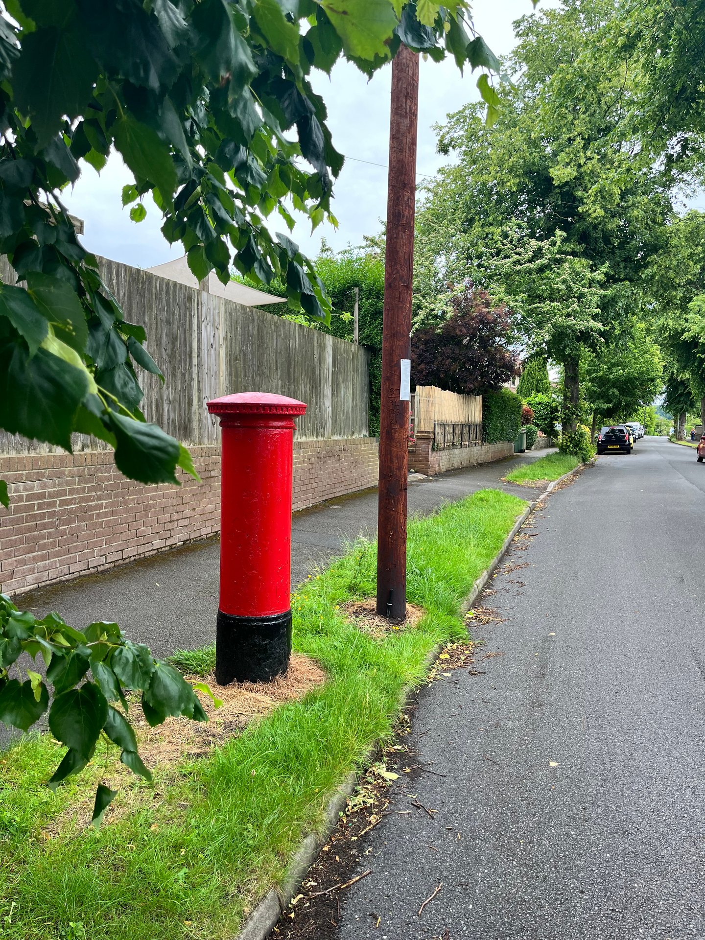 Dalewood Road, Sheffield photo 7