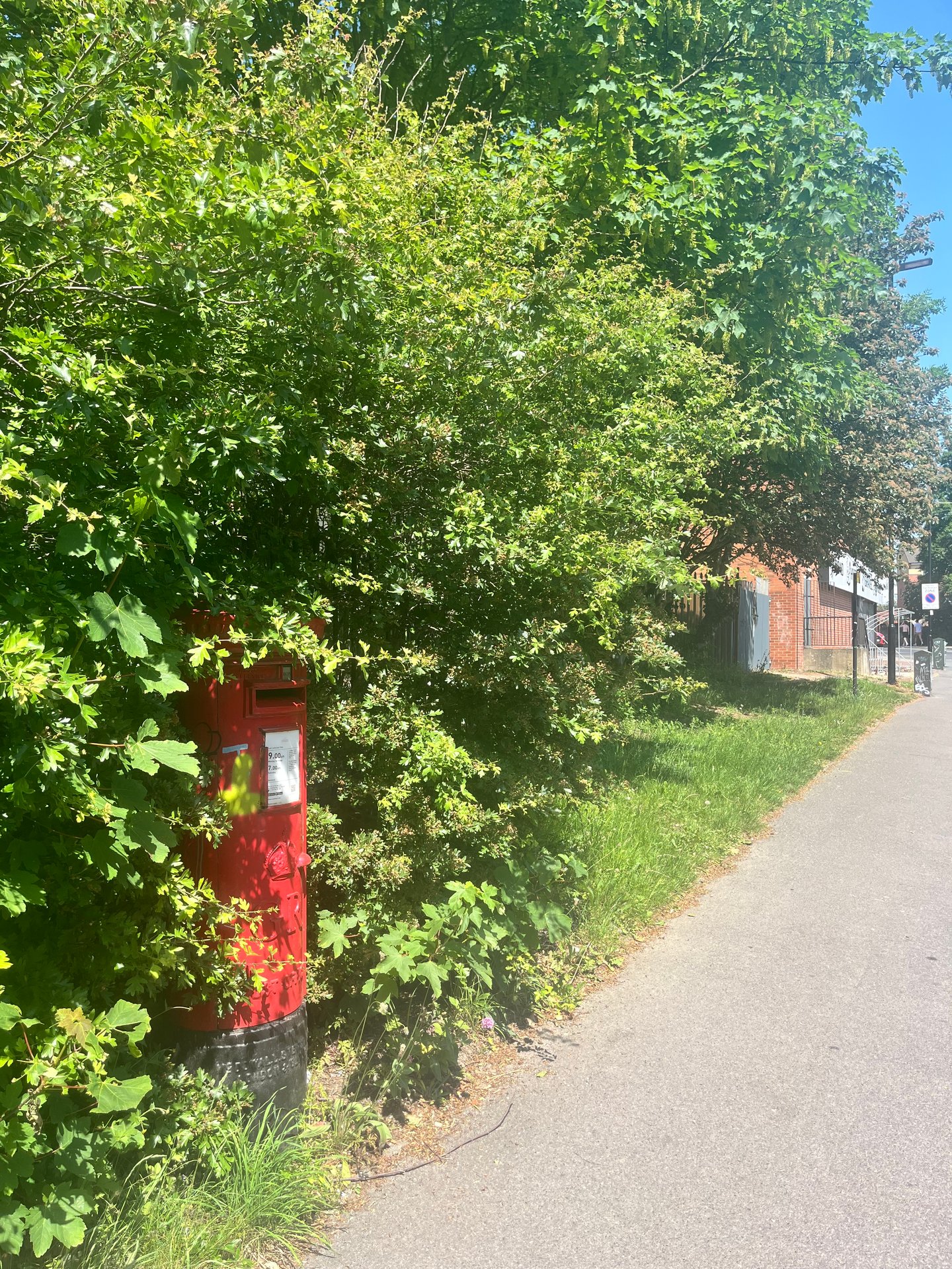 Asline Road photo 4
