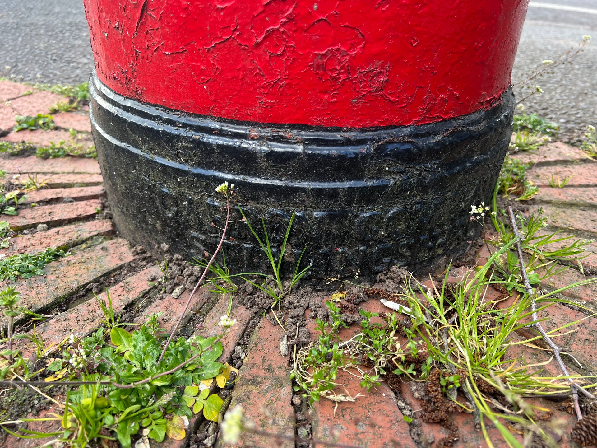 Dimbles Lane, Lichfield photo 4