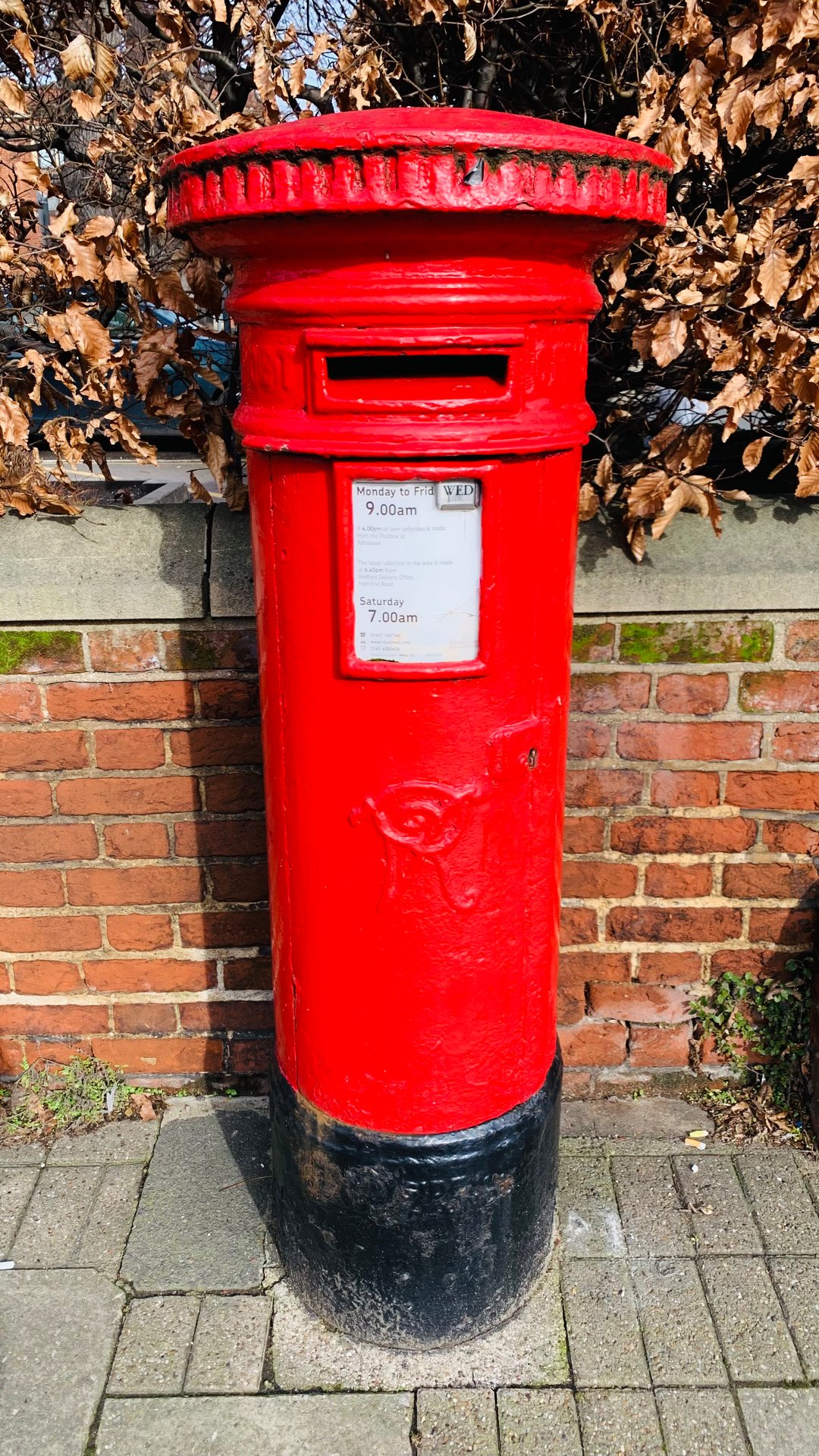Bromham Road, Bedford photo 8
