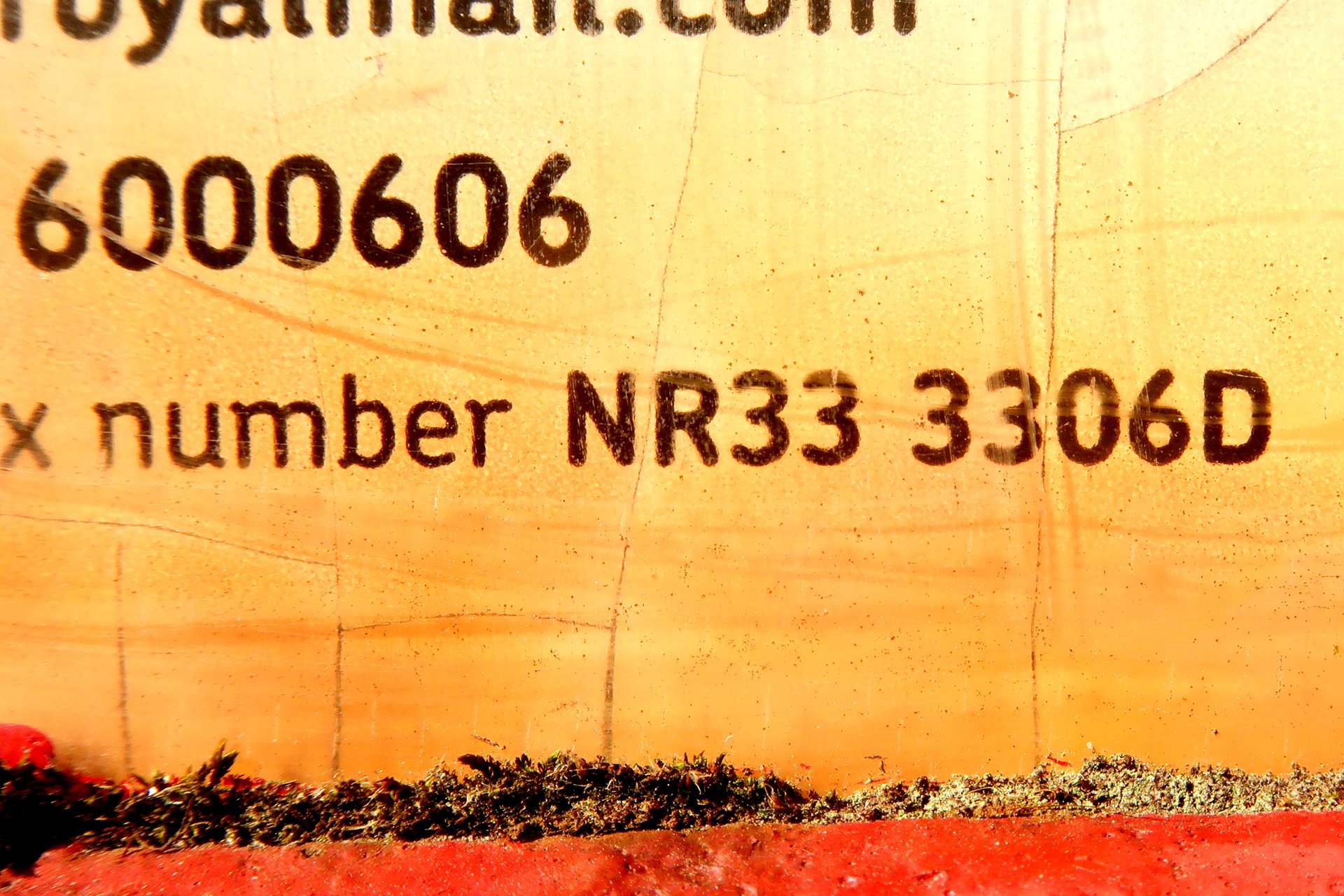 All Saints Road, Lowestoft photo 4