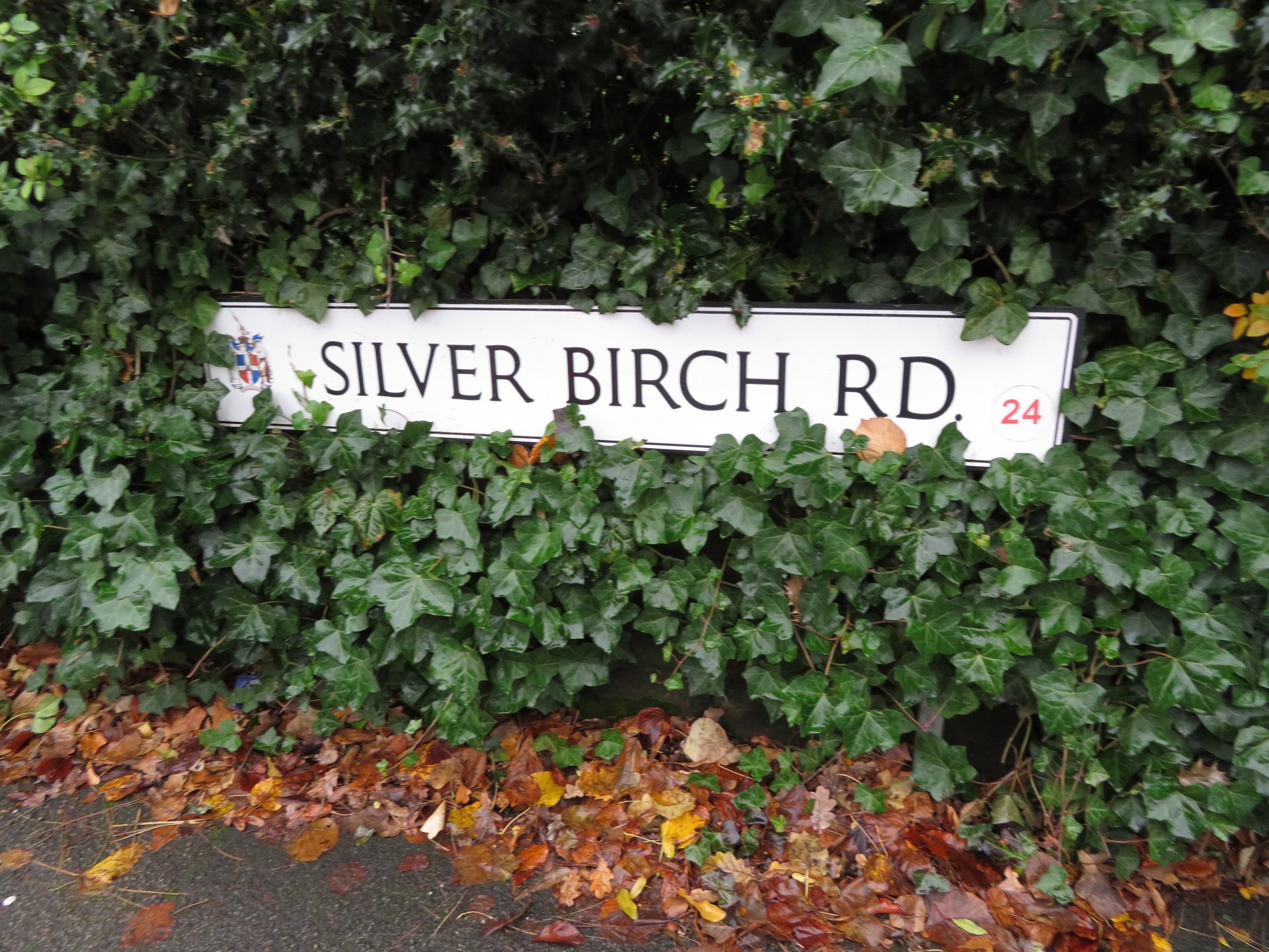 Silver Birch Road, Birmingham photo 4