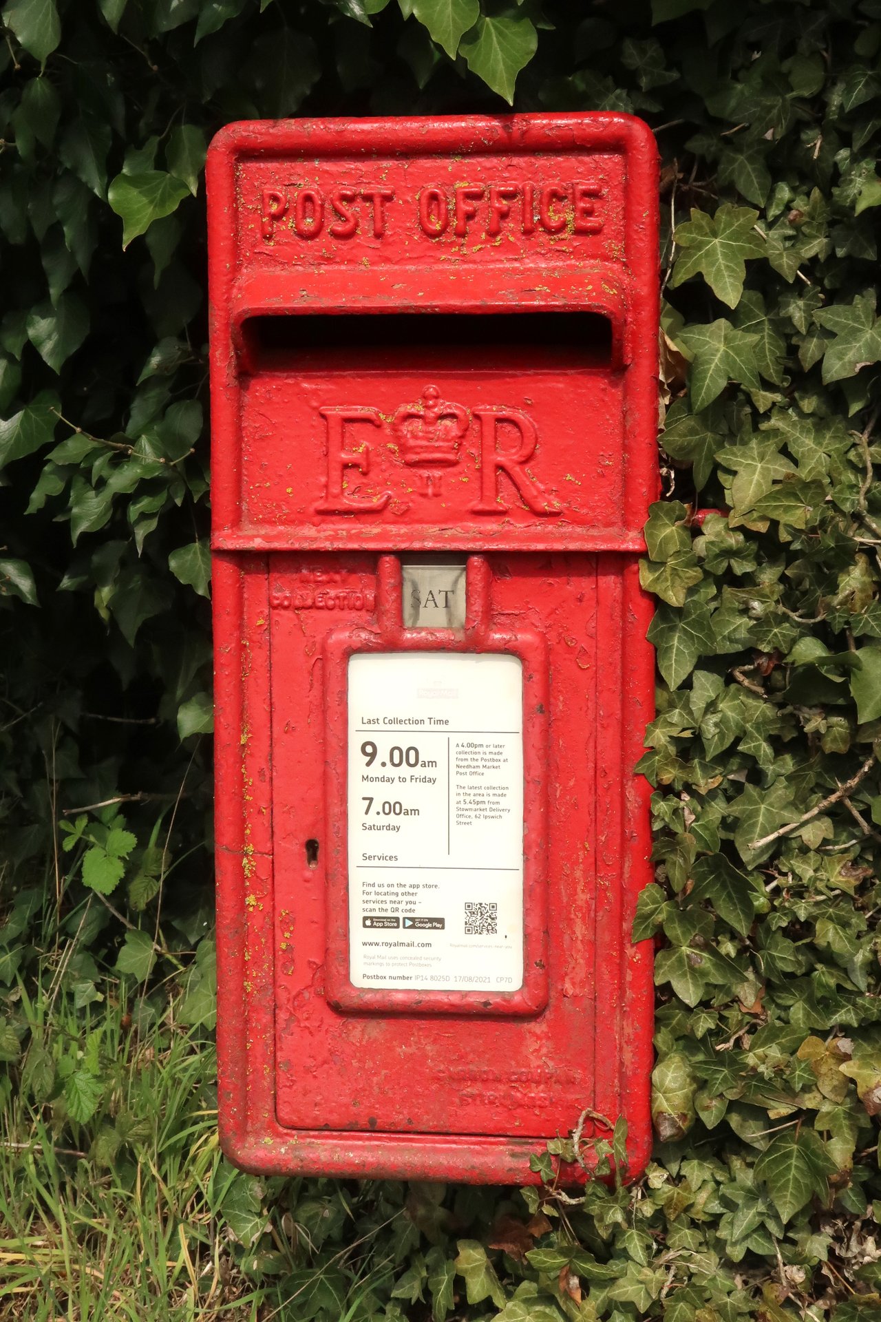 A1120, Forward Green photo 3