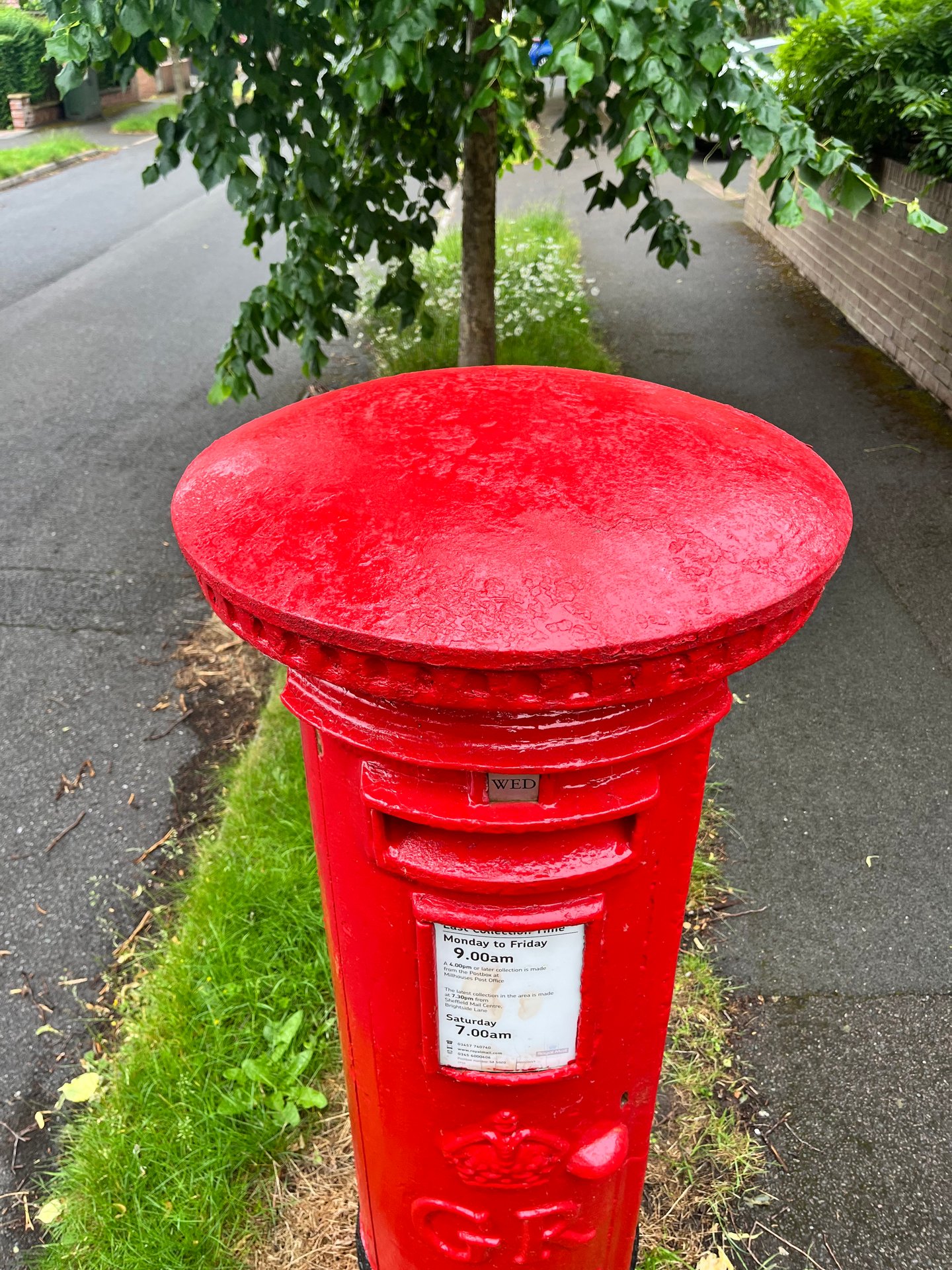 Dalewood Road, Sheffield photo 5