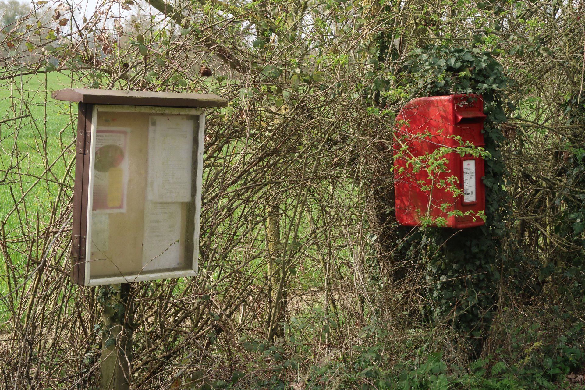 Bush Farm Corner The Street, Denham photo 2