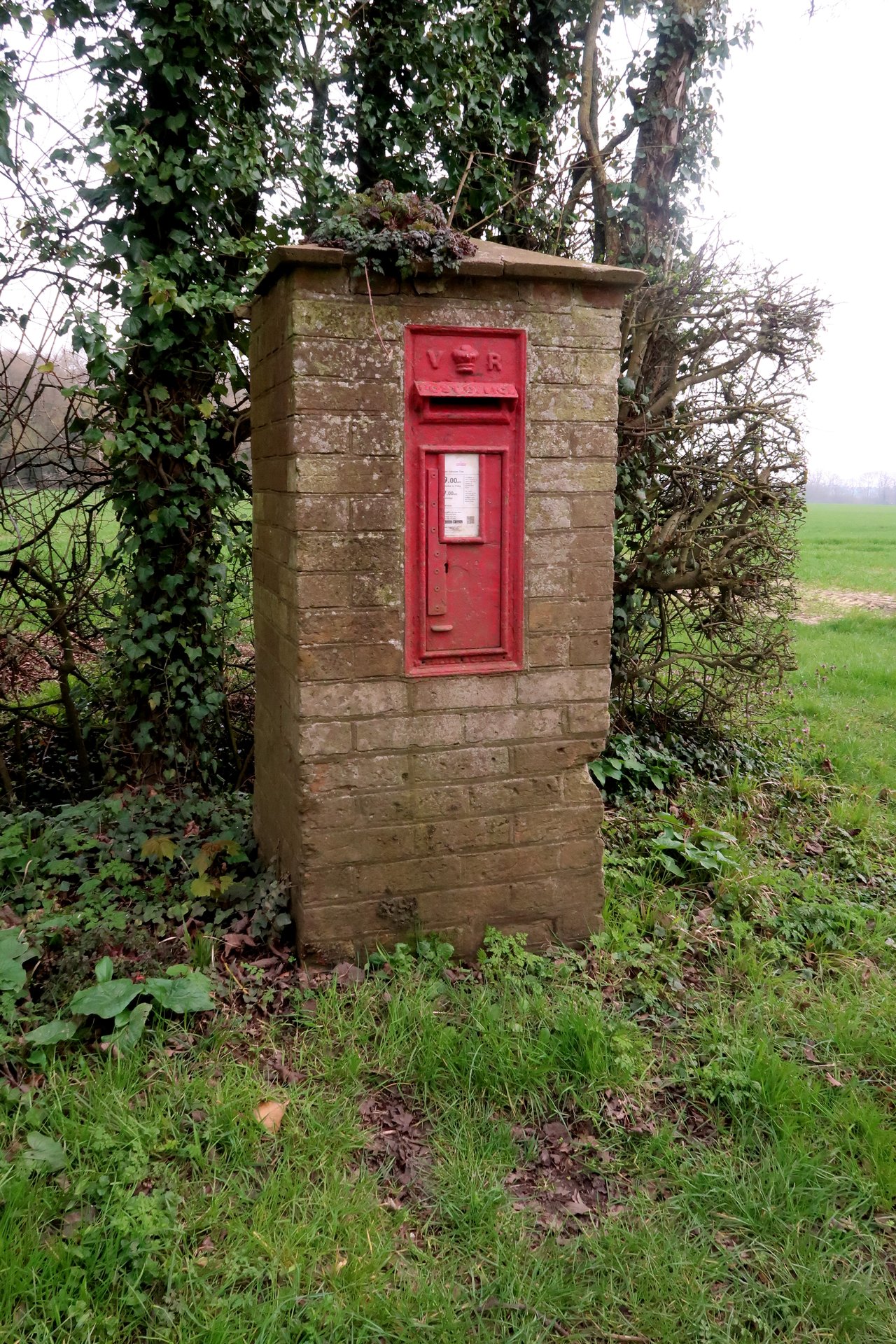 Wood Lane, Mid Suffolk photo 6