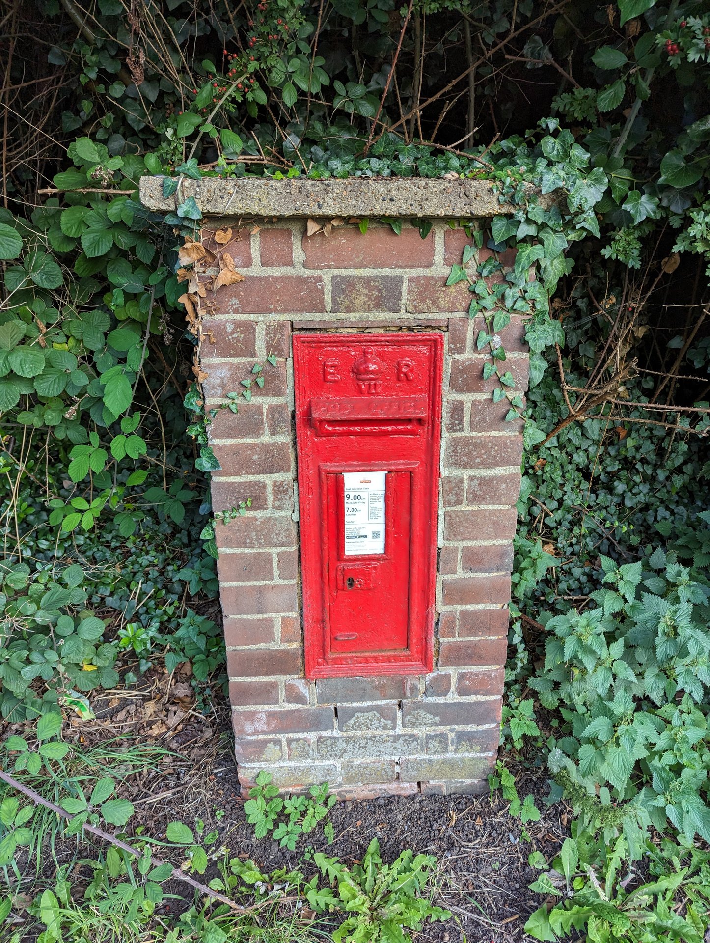 Chelmsford Road, Brentwood, King Edward VII