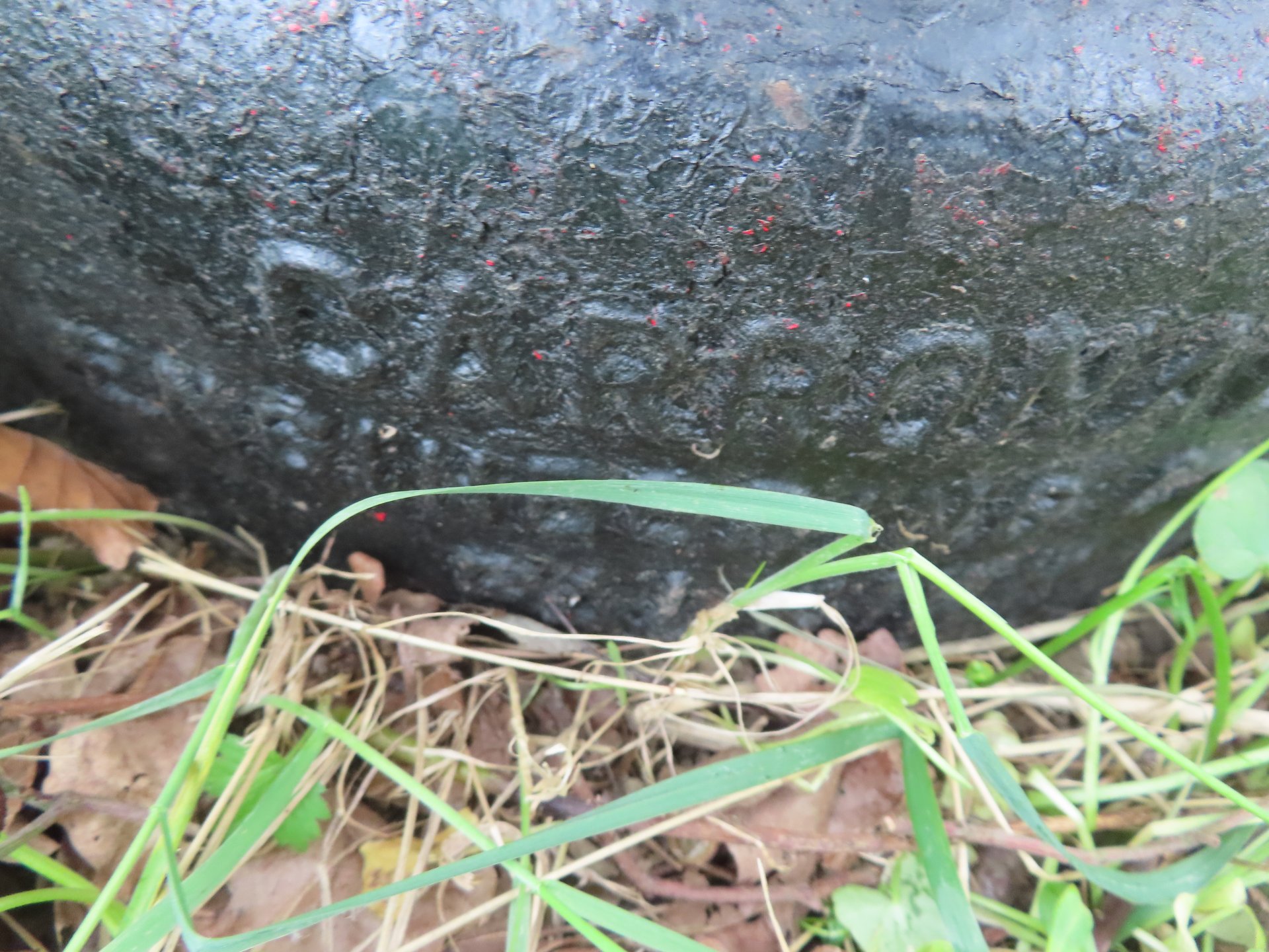 Eagle Drive, Amington photo 2