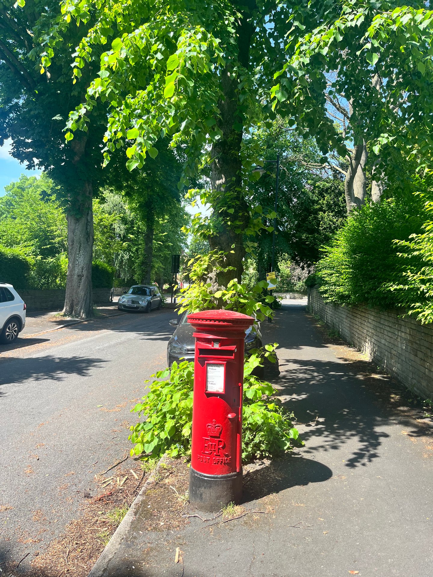 Crescent Road, Sheffield photo 5
