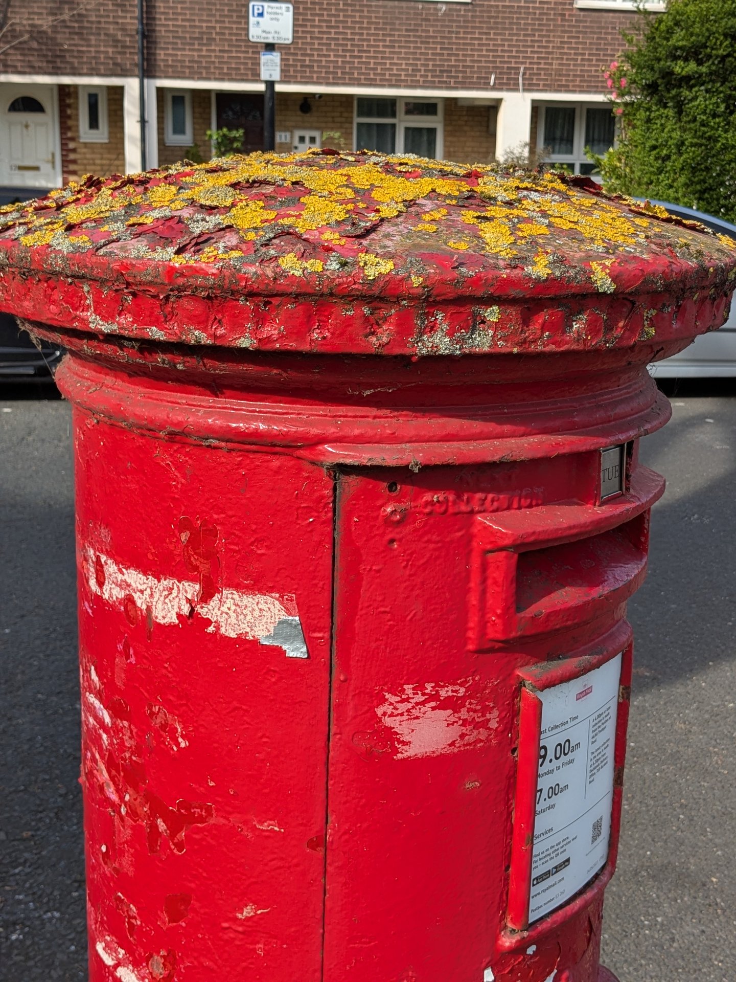 Alfred Street, Bow photo 4