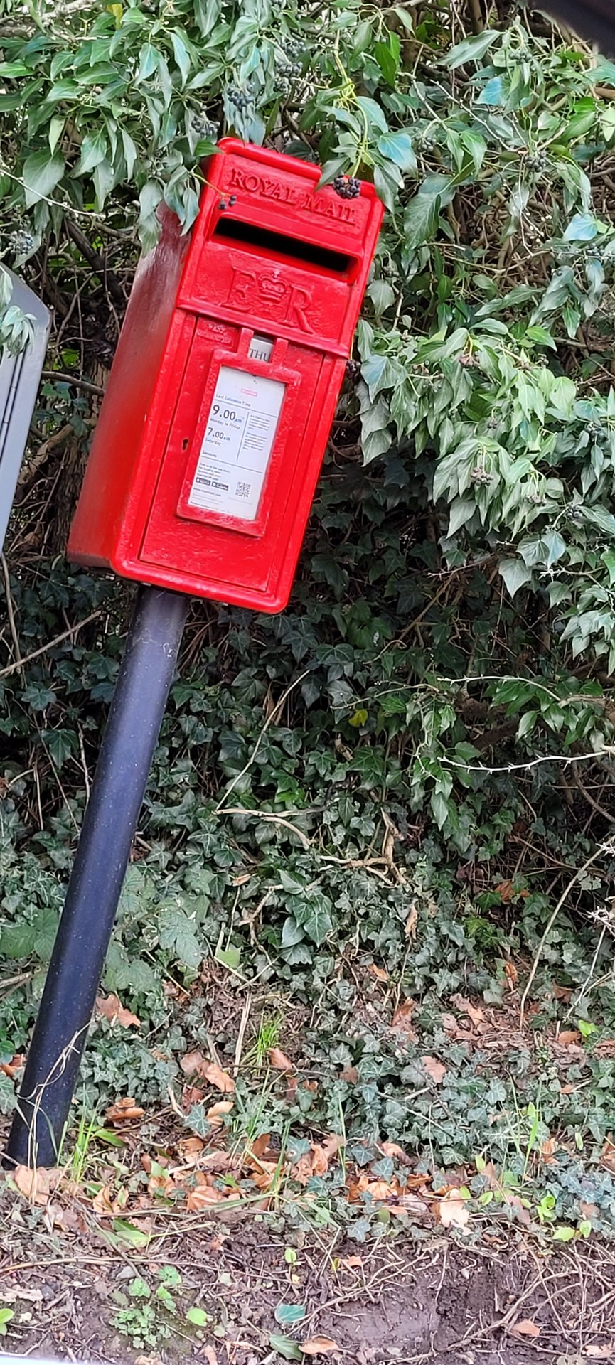 Terrills Lane, Tenbury, Queen Elizabeth II