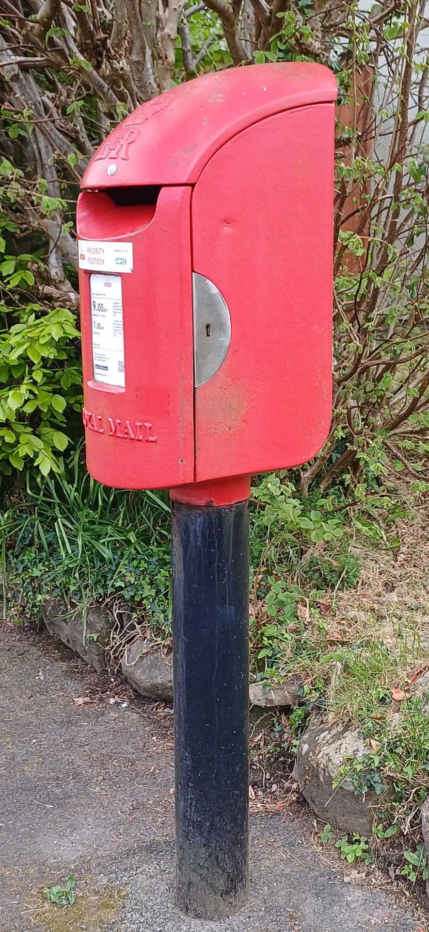Blackbrook Close, Walkhampton photo 2