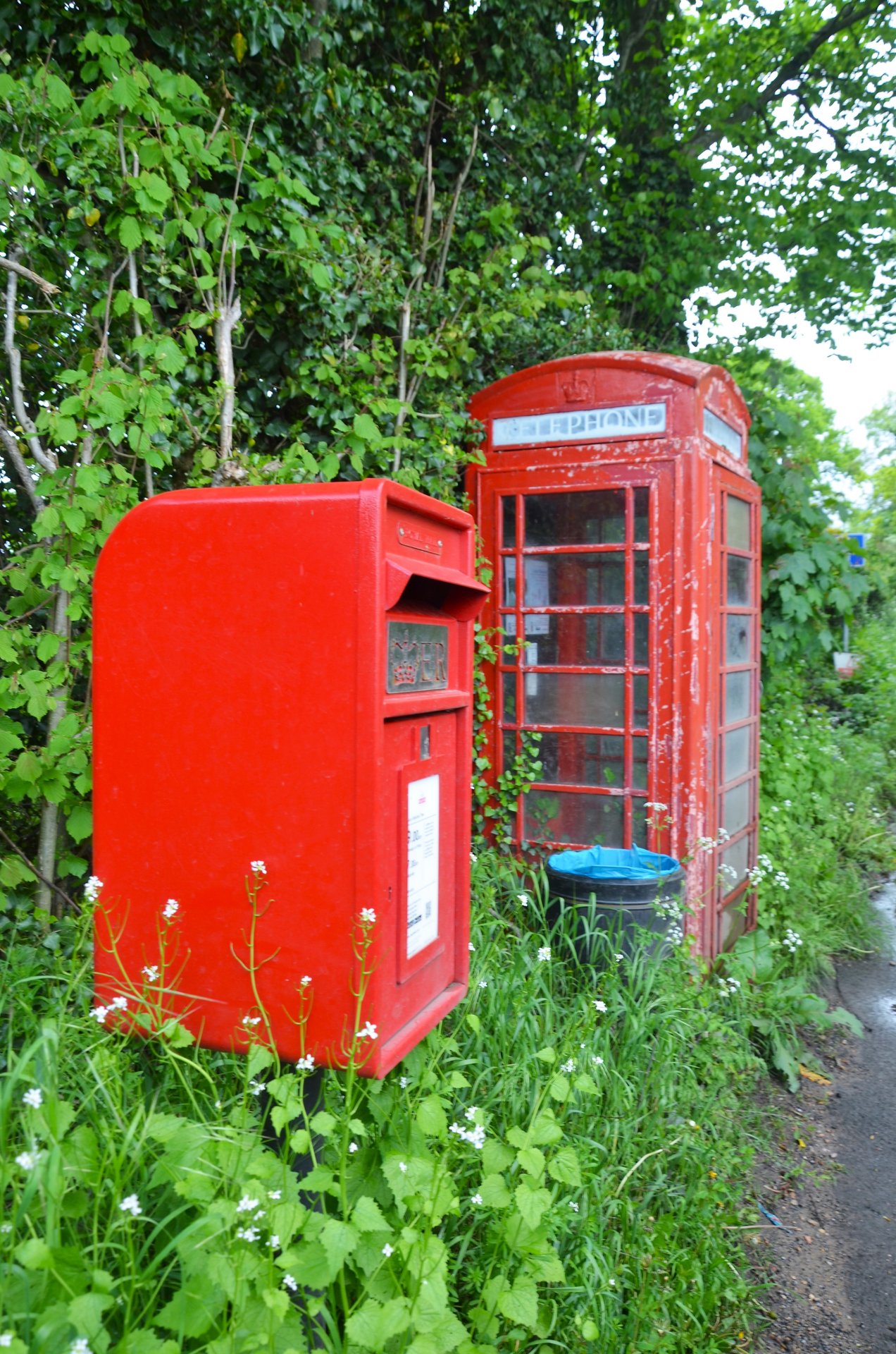 Chalkhouse Green Lane, Kidmore End, Queen Elizabeth II