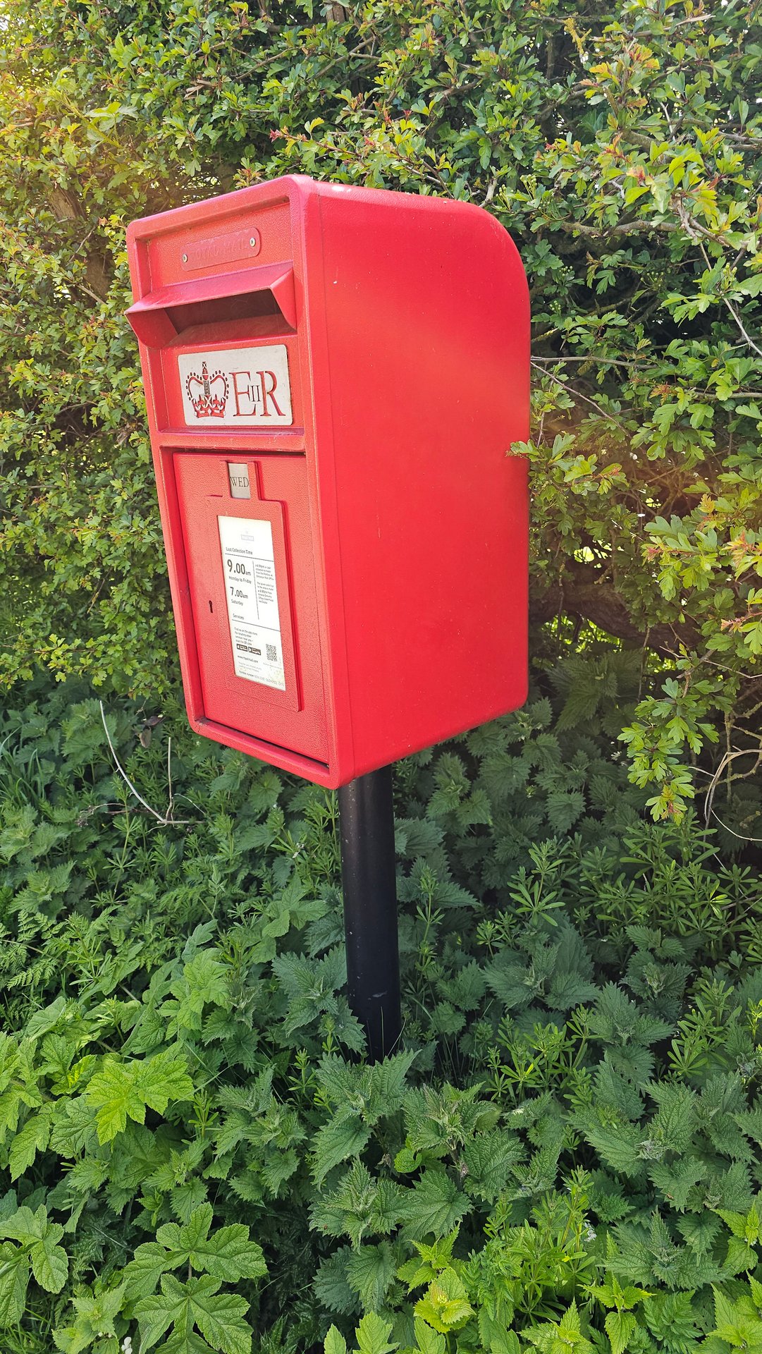 Sea Lane, Embleton photo 2