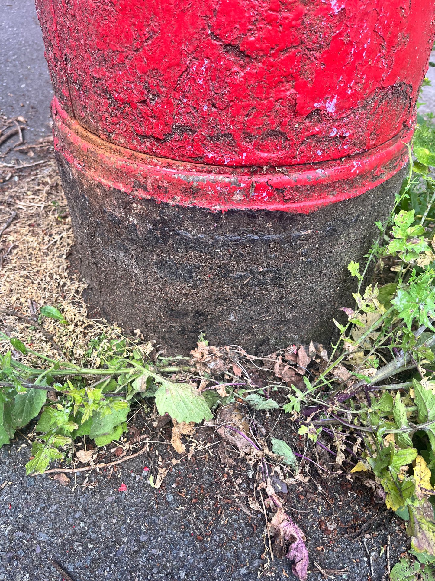 Rustlings Road, Sheffield photo 5