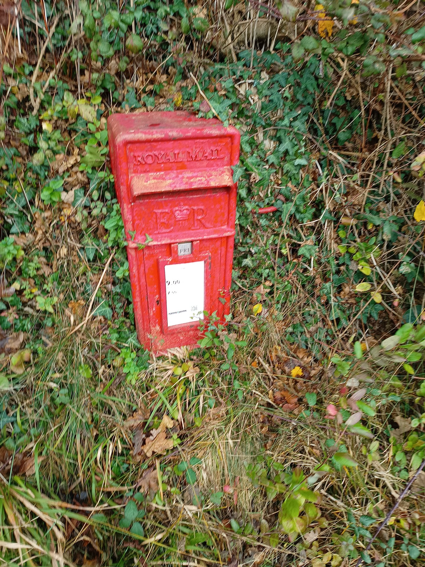 Halsfordwood Lane, Whitestone, Queen Elizabeth II