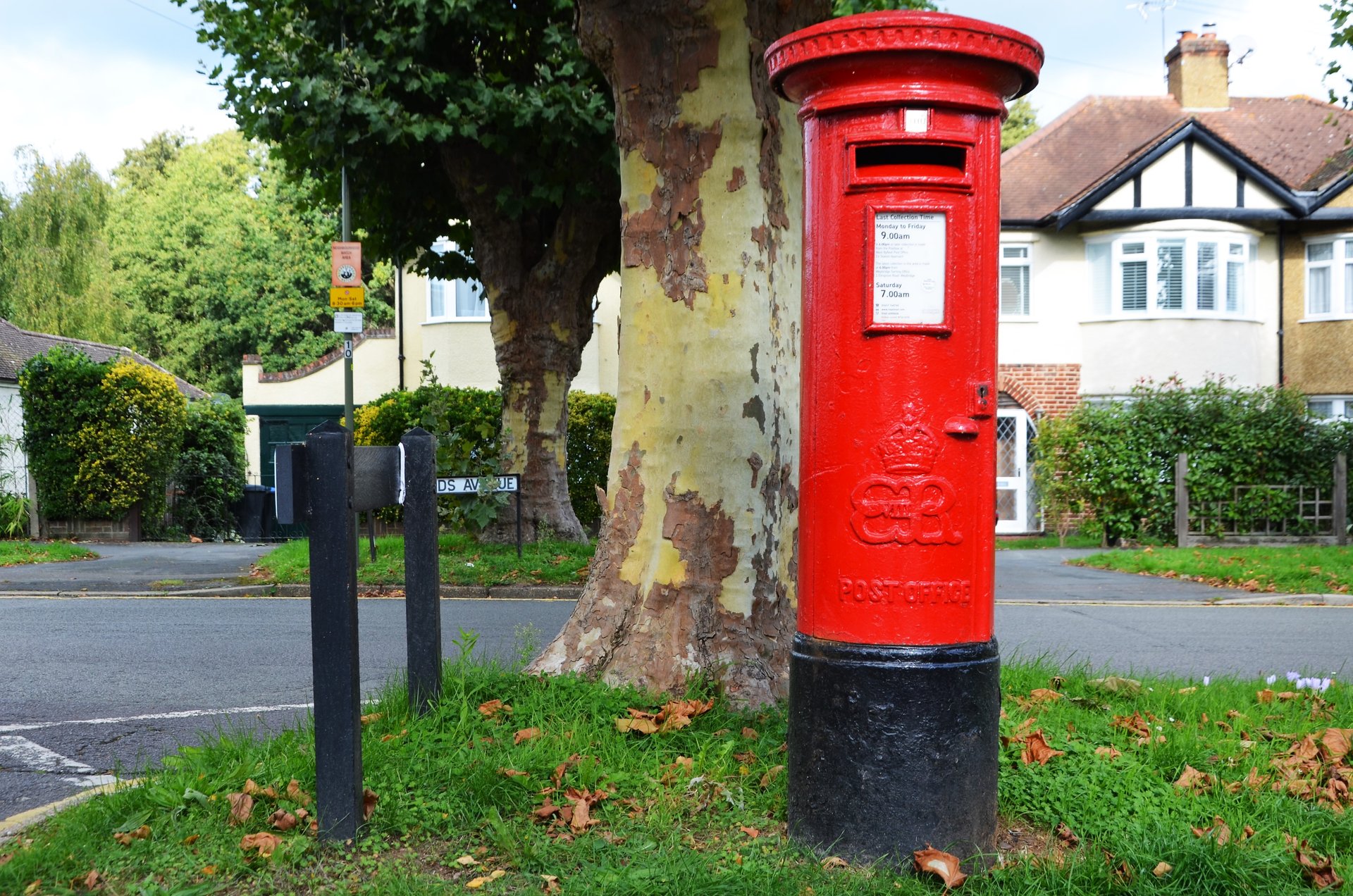 Woodlands Avenue, West Byfleet, King Edward VIII
