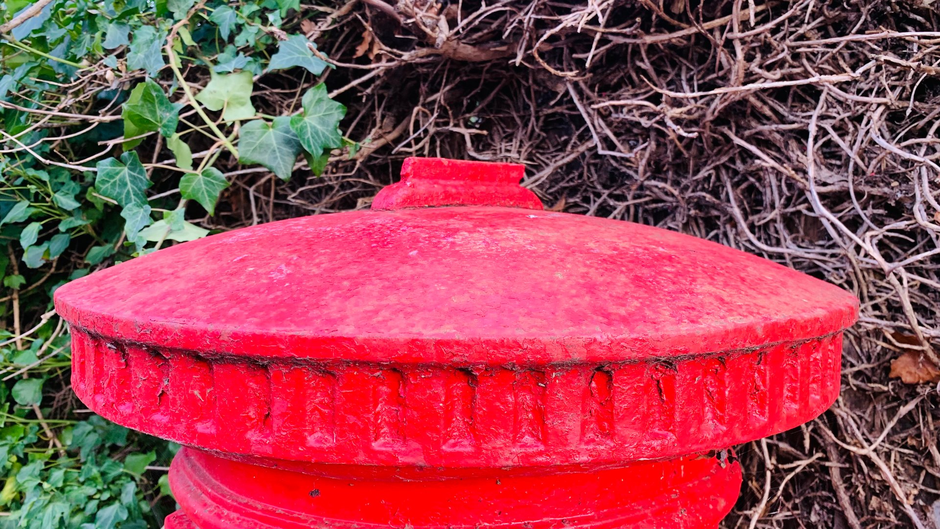 Glencairn Park Road, Cheltenham photo 5