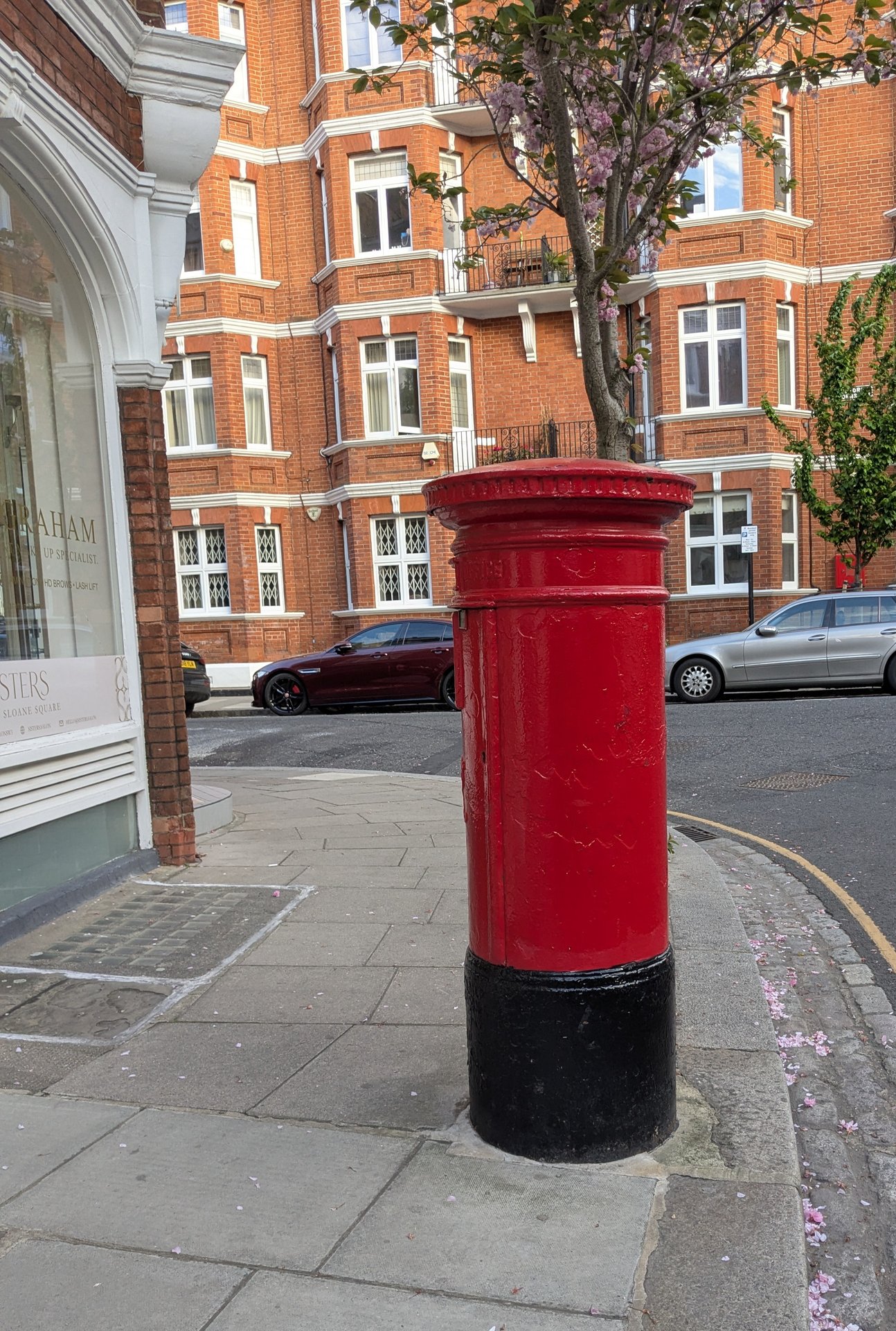 Blacklands Terrace photo 2